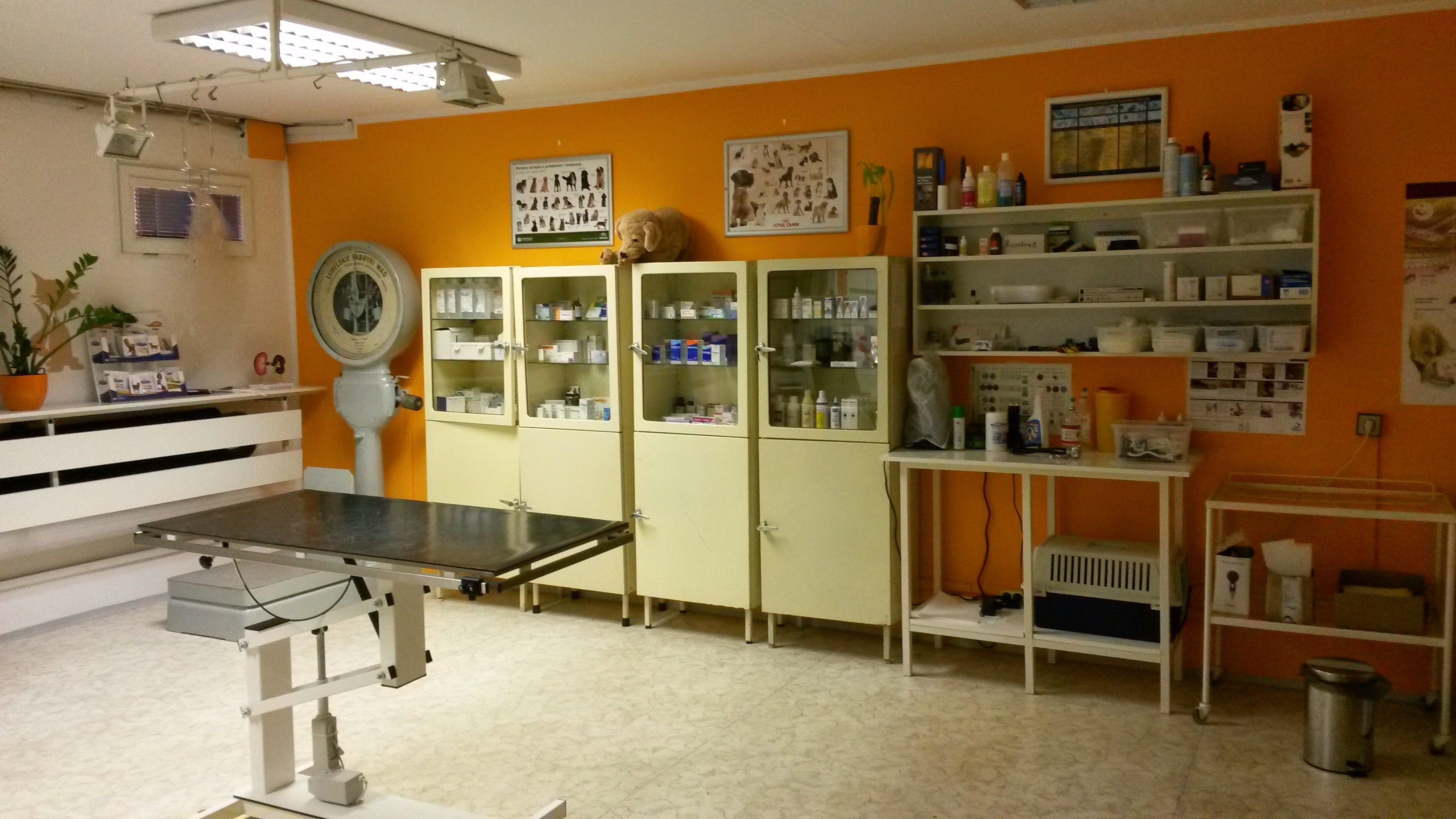 MVDr. Veronika Dočkalová - veterinární ambulance foto 2