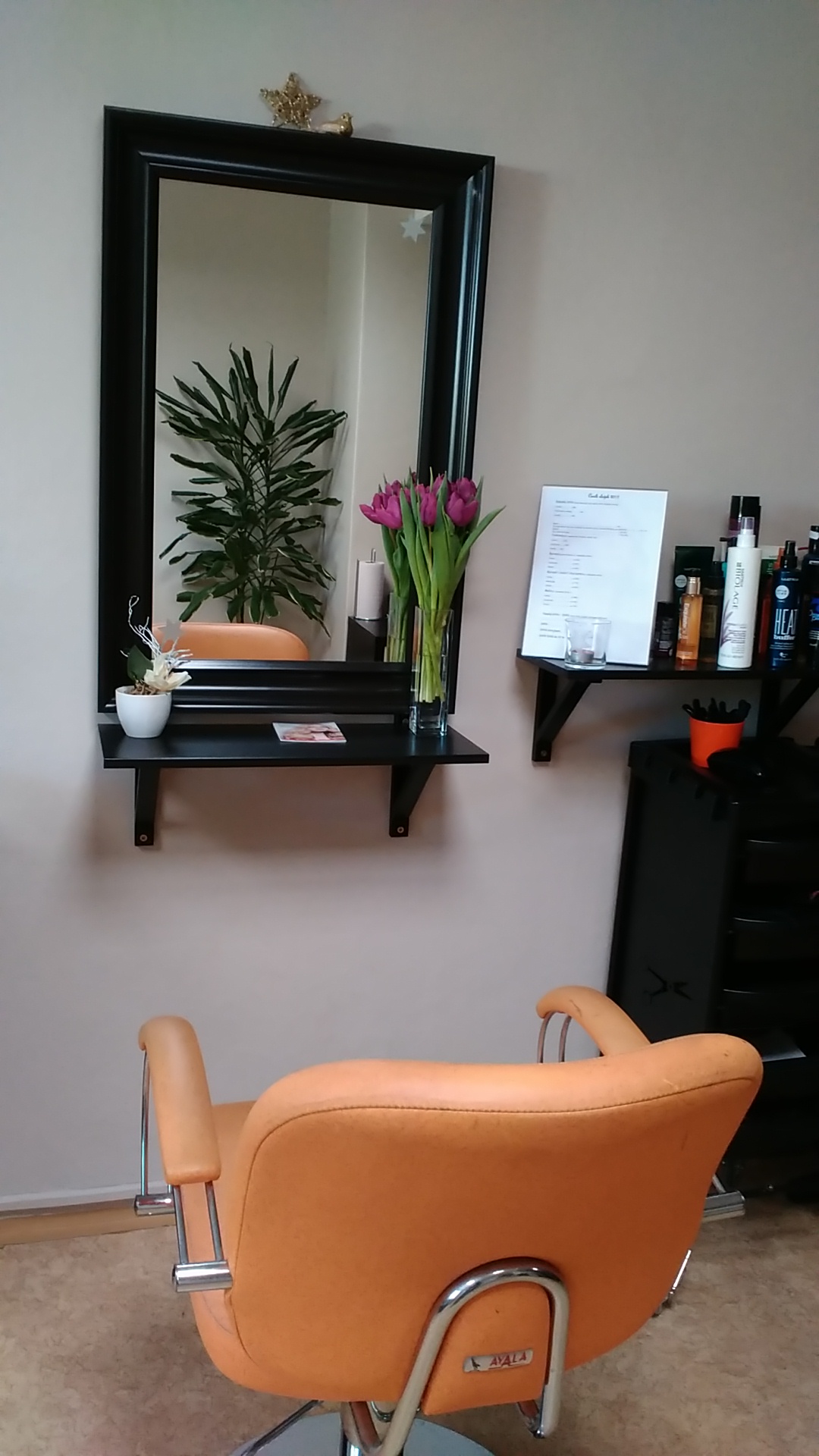 Vlasové studio Nikola Nechala foto 2