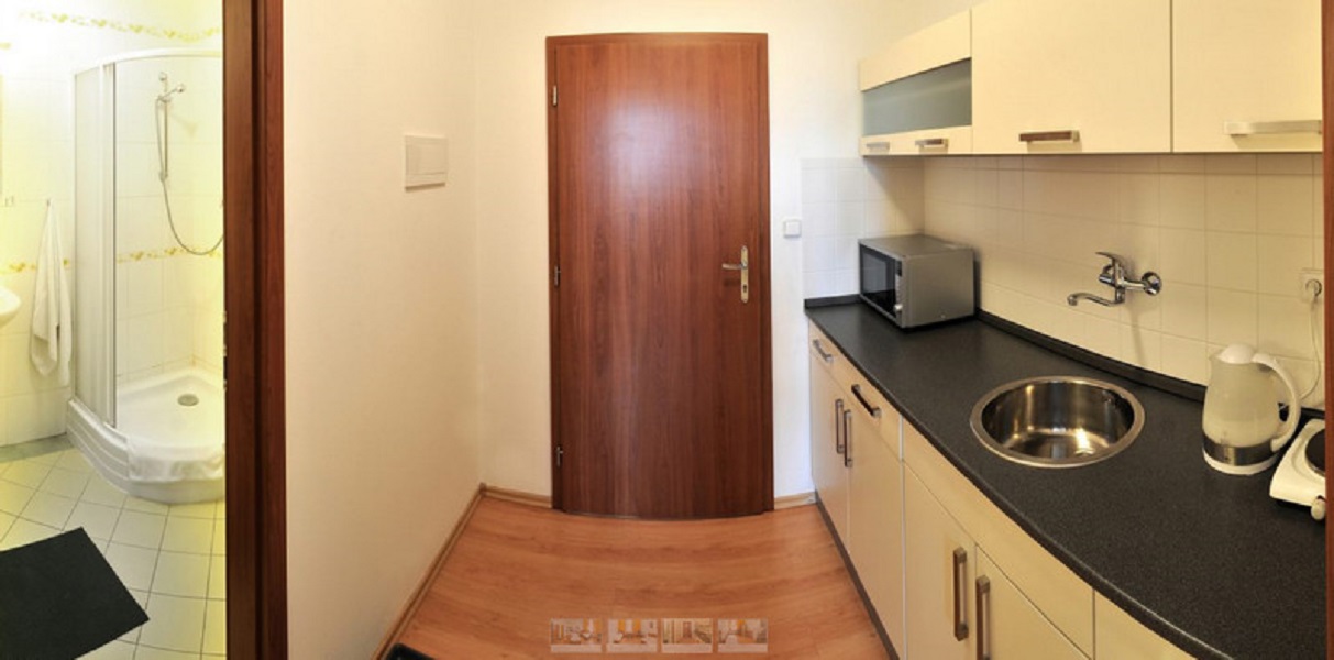 SVOBODA WELLNESS HOTEL *** foto 2