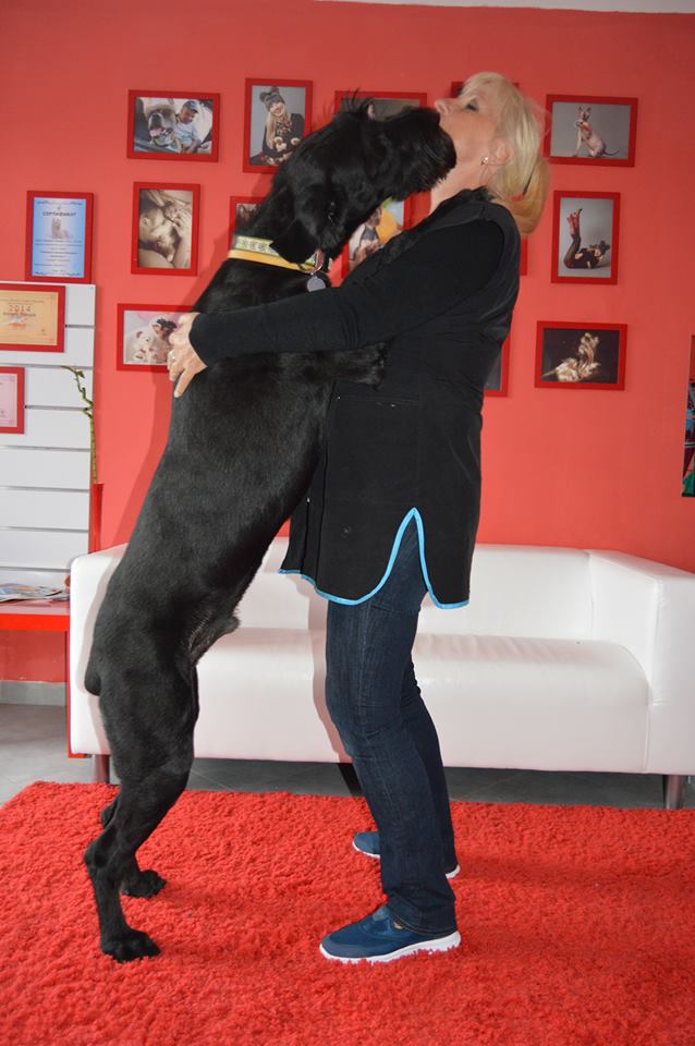 PetGrooming foto 2