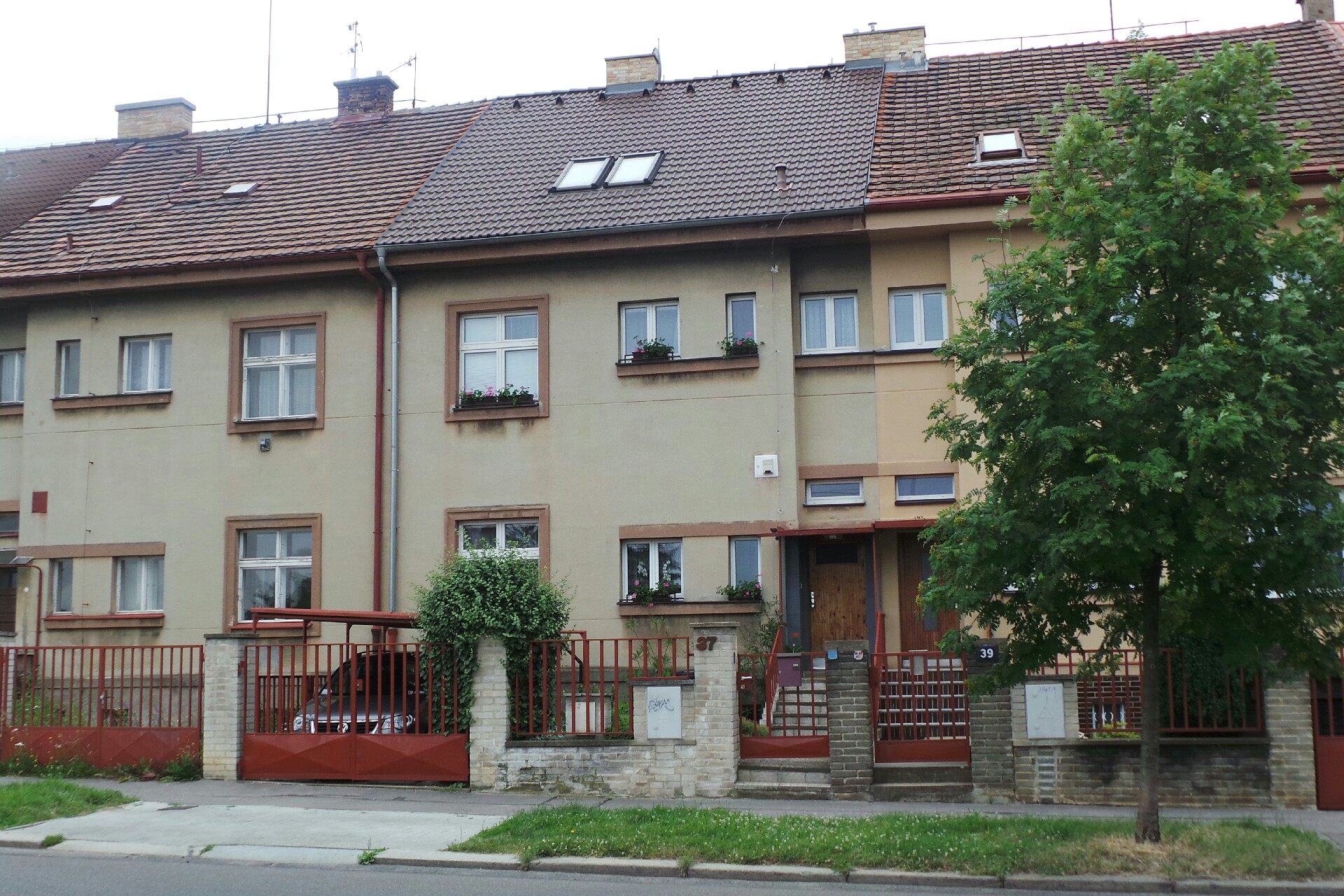 Susenekvety.cz foto 5
