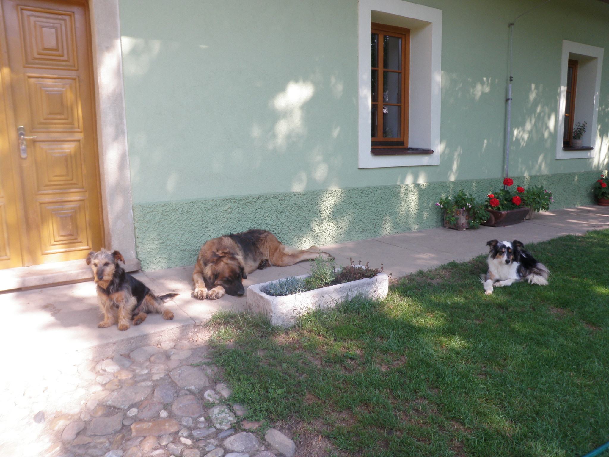 Statek u Holku foto 3