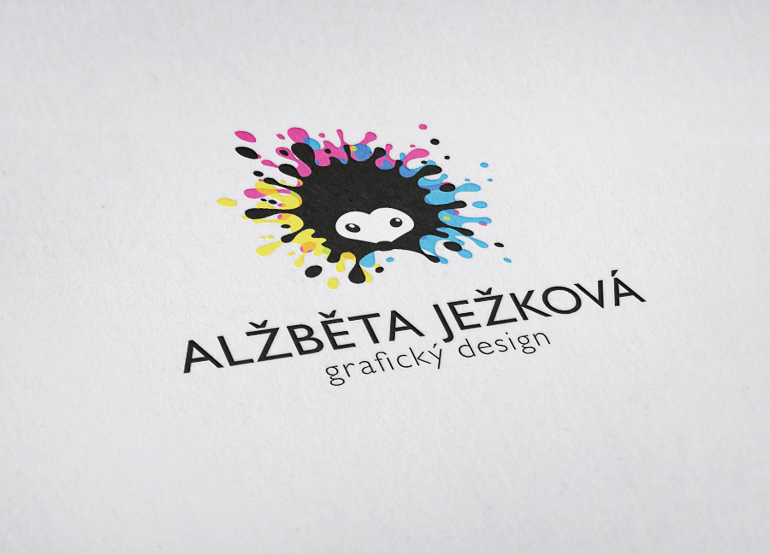 Alžběta Ježková Grafický design foto 3