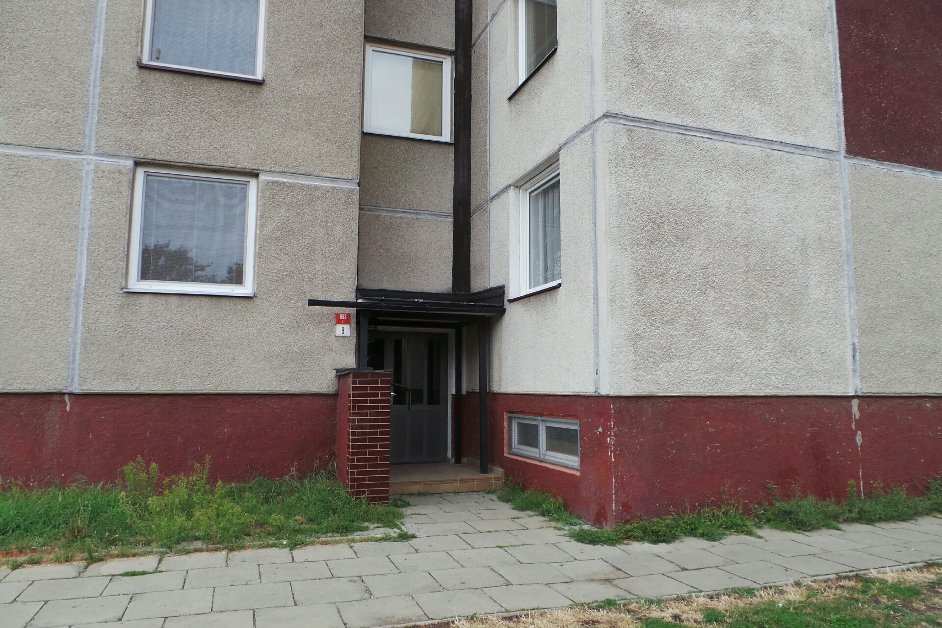 Zlatuše Bajgarová foto 1