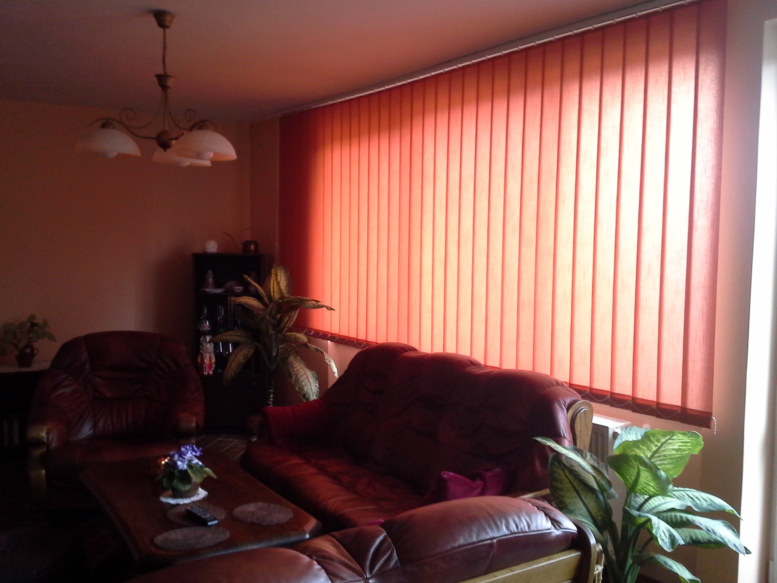 Žaluzie Novotný foto 4