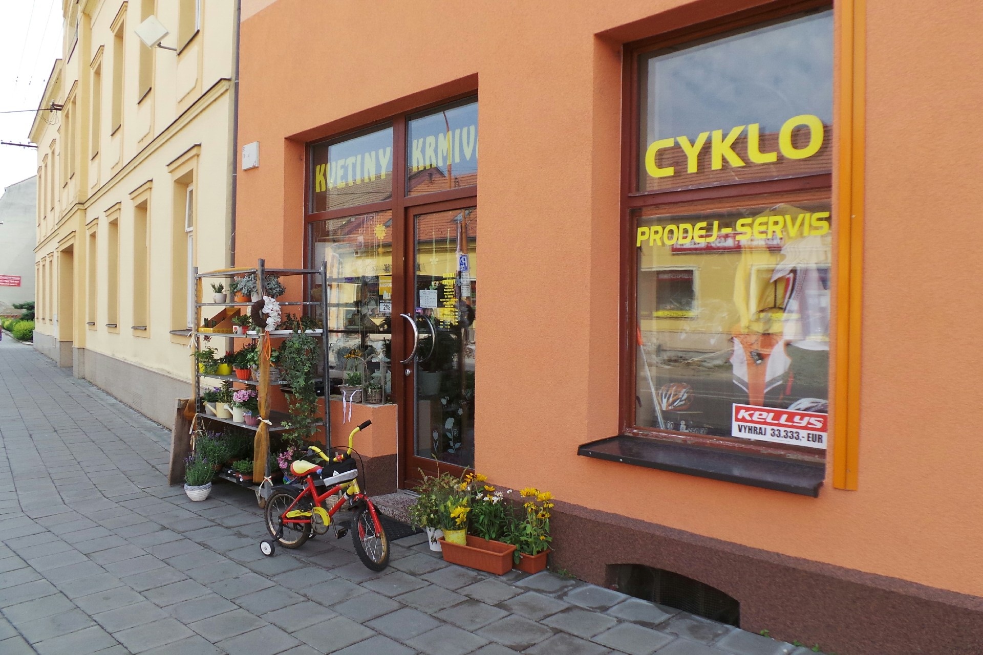 Květiny Lenka Kupská