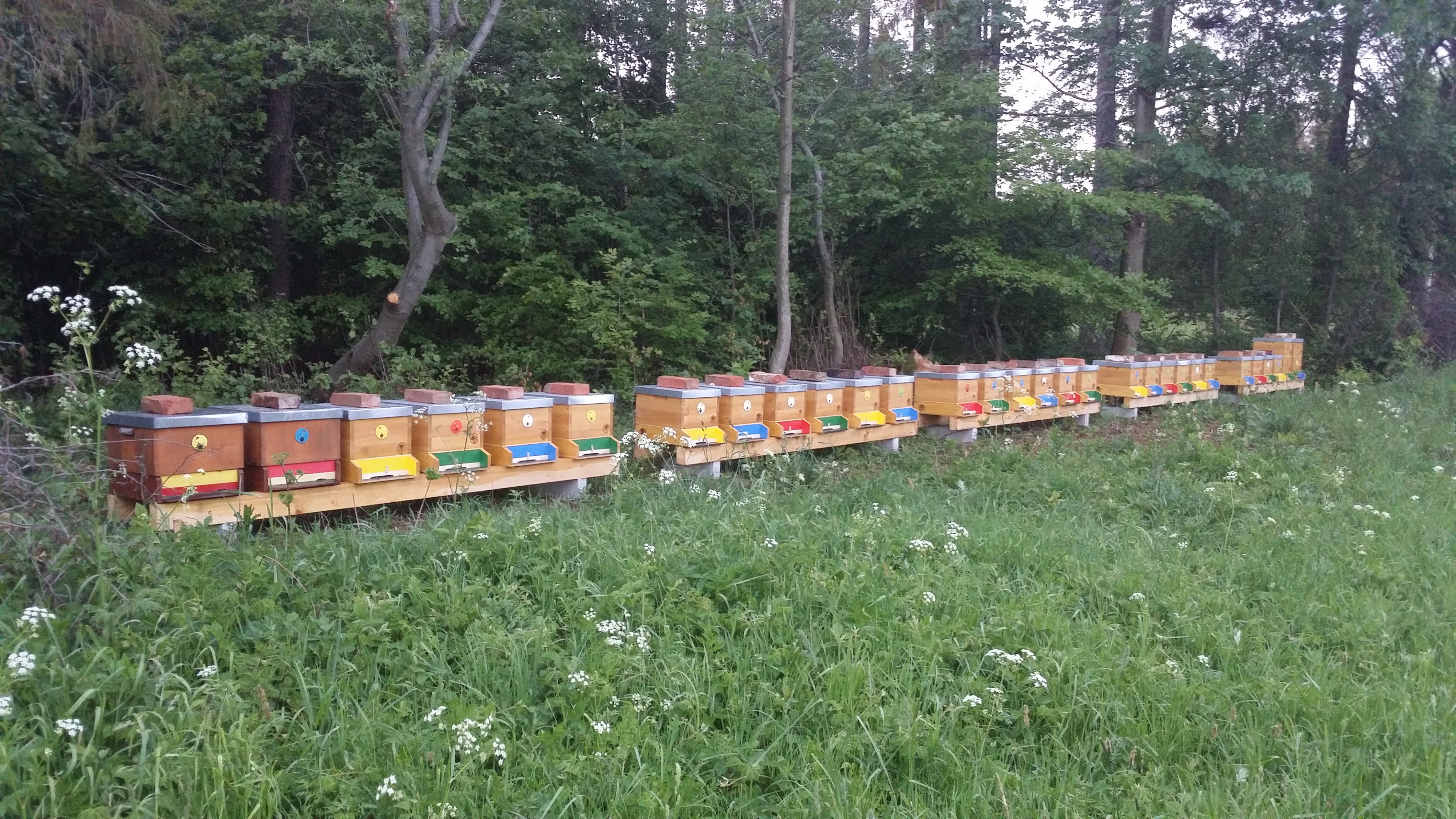 Včelařská farma Marián Krajíček foto 2