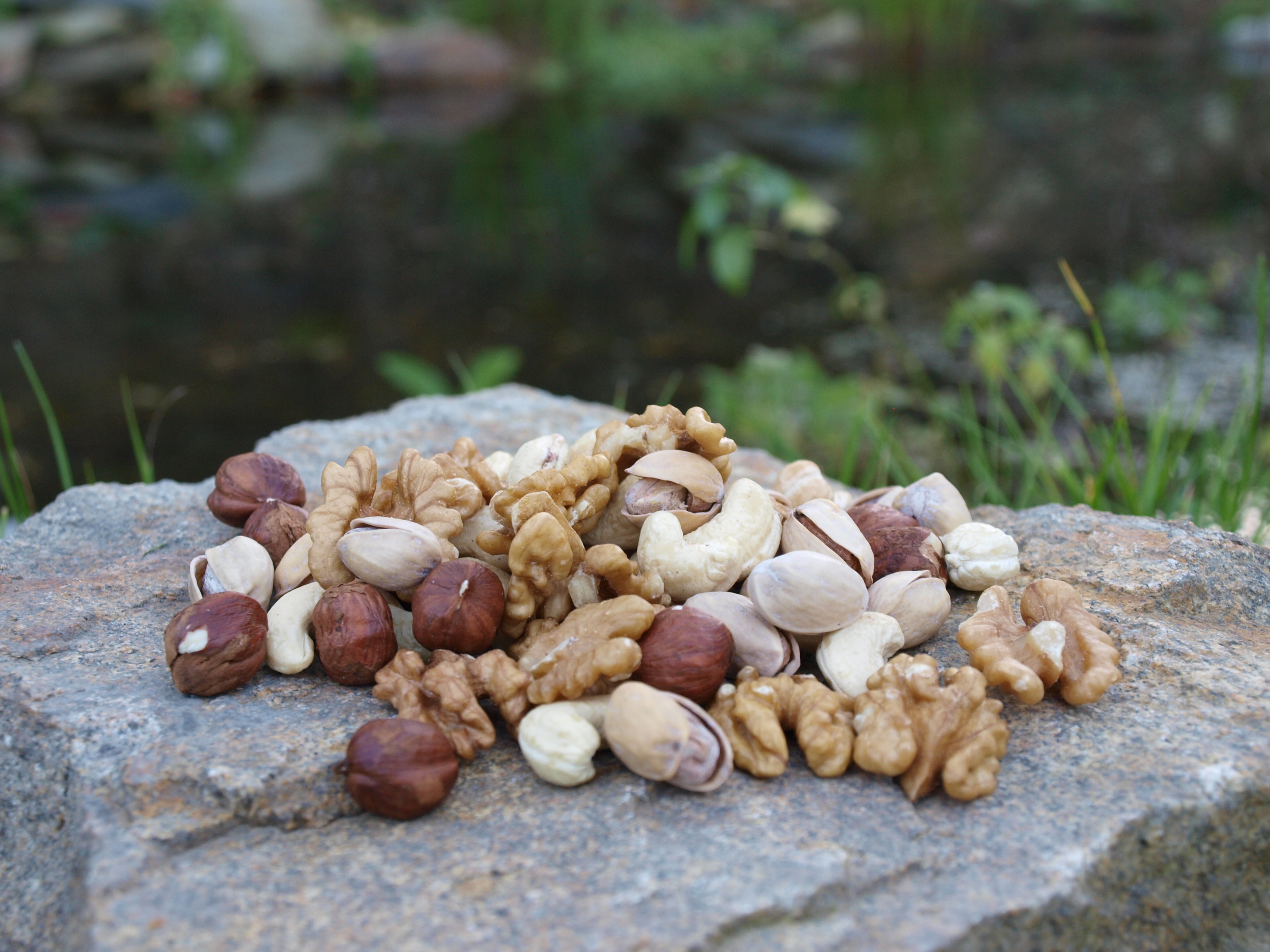 Petr Voves - Ořechy a sušené plody foto 3