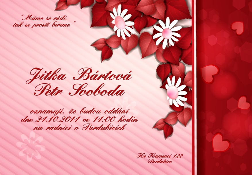 Oznámení-svatební.cz foto 4