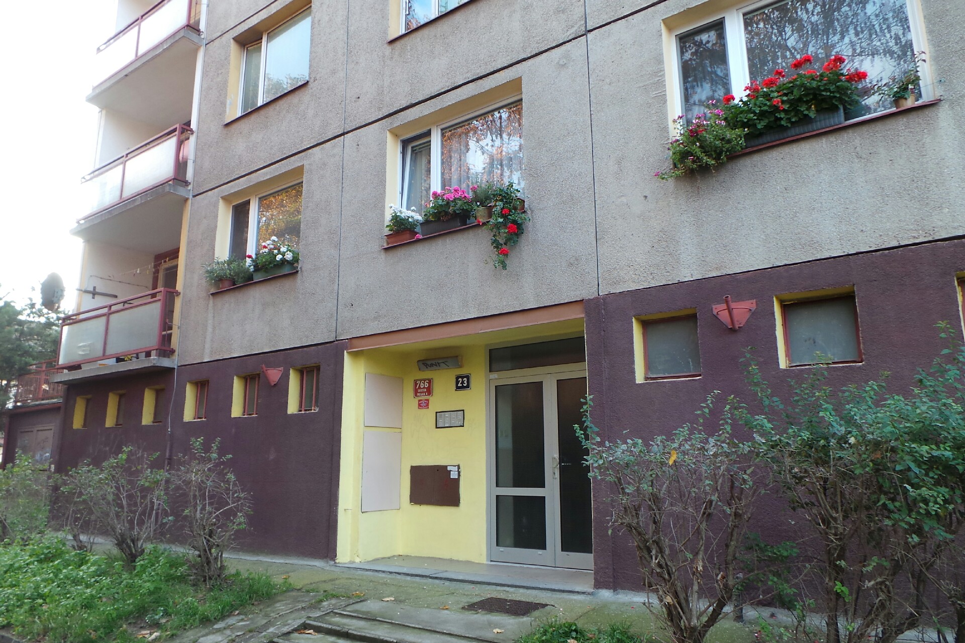 Nezávislý sportovní klub Sportovní Chůze Praha