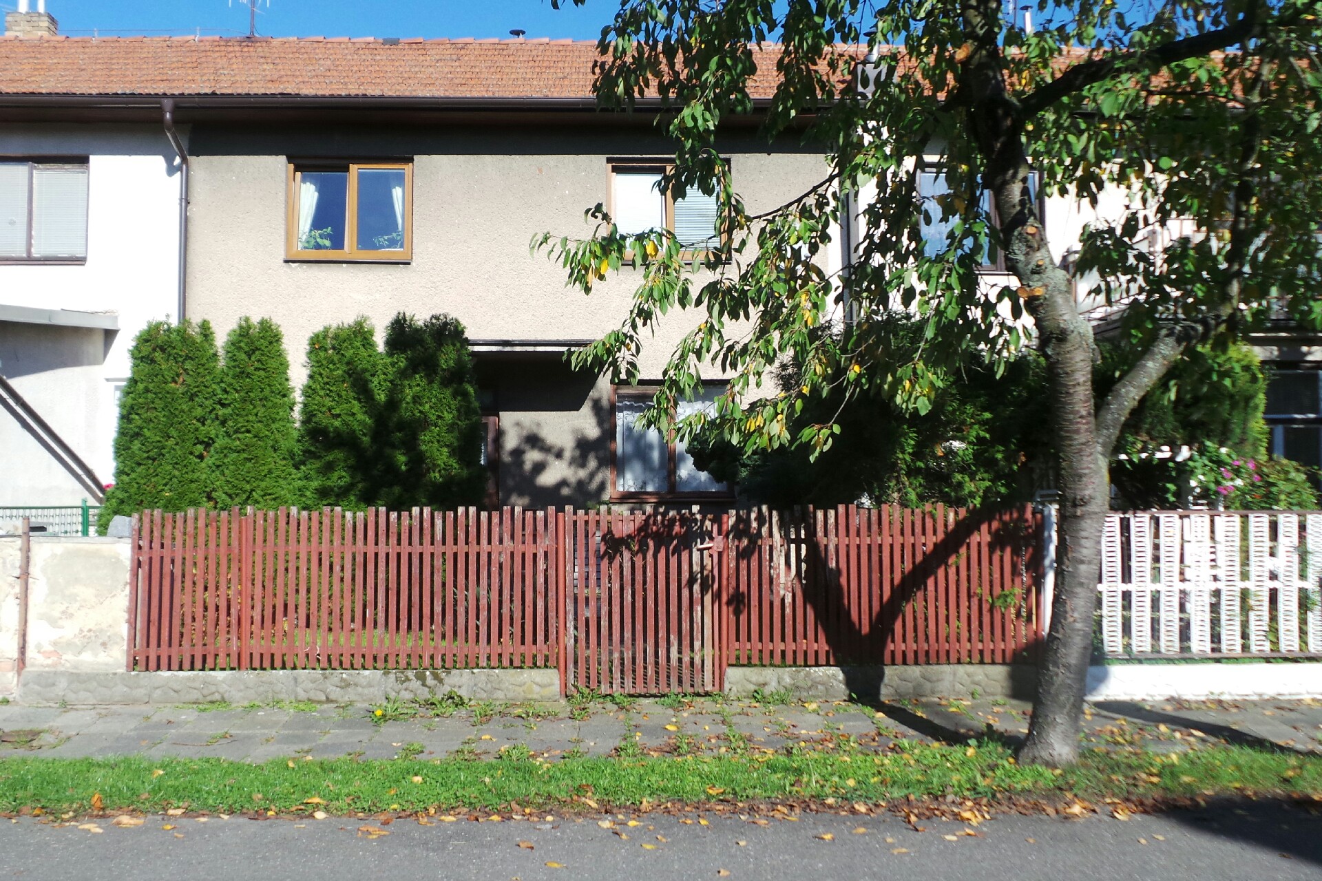 Sarah Kateřina Ptáčková