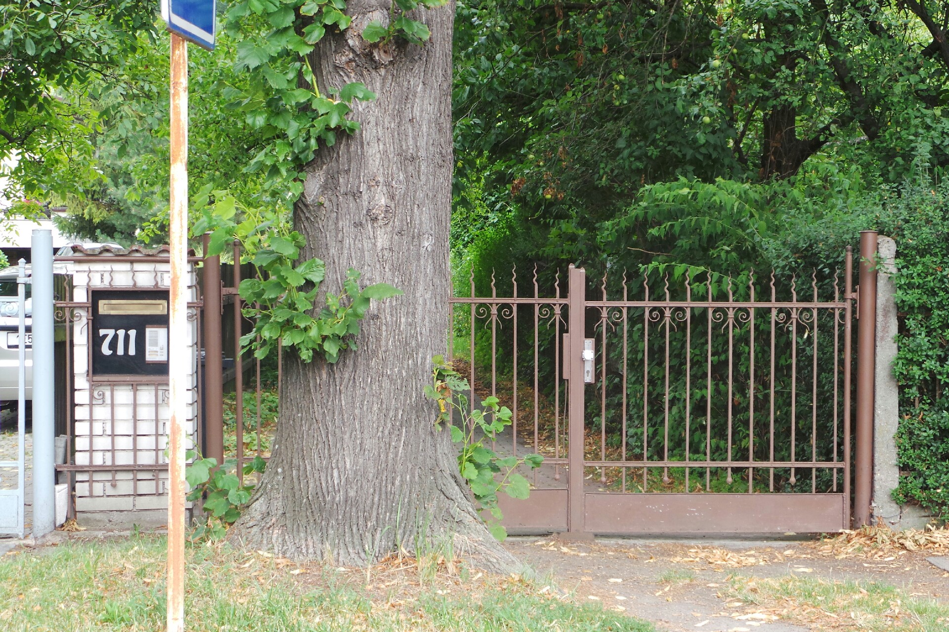 Ing. Pavel Křivka foto 2
