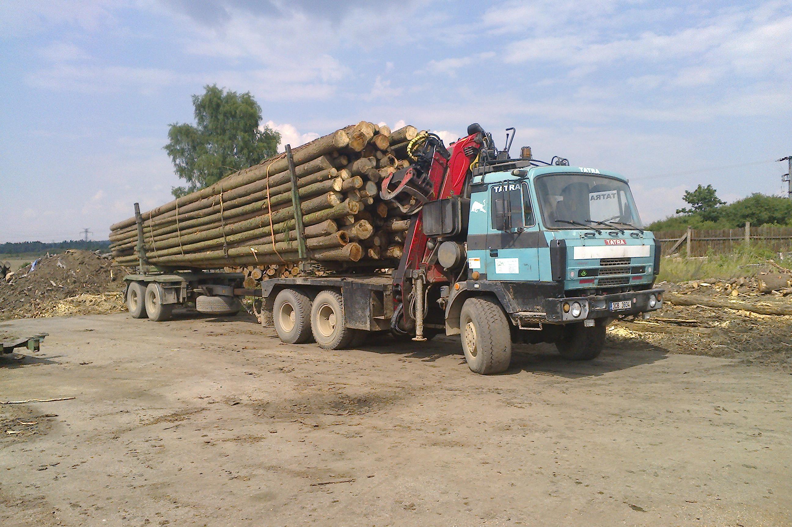 PALIVOVÉ DŘÍVÍ - Ing. Jan Mrázek