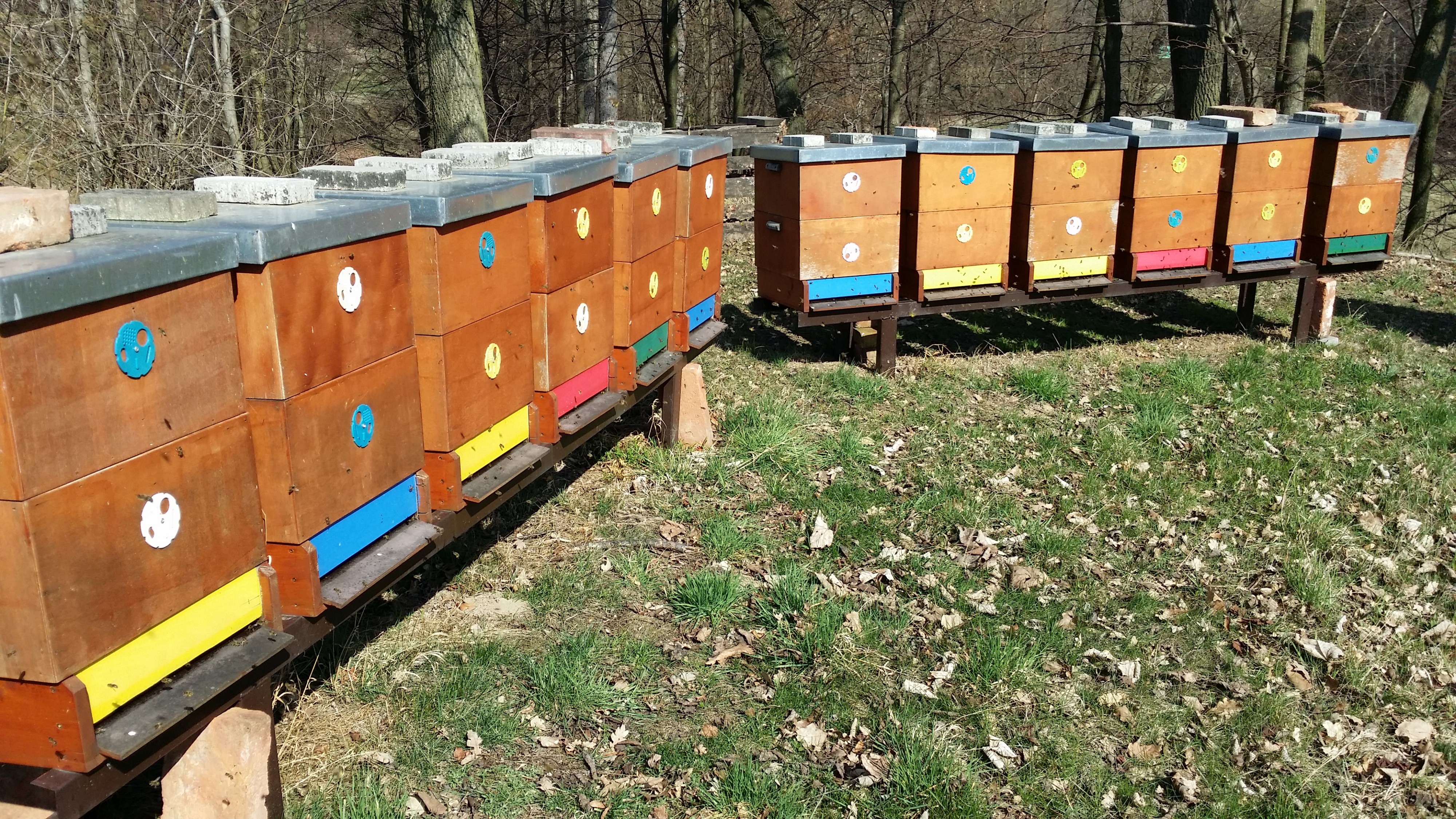 Včelařská farma Marián Krajíček foto 4