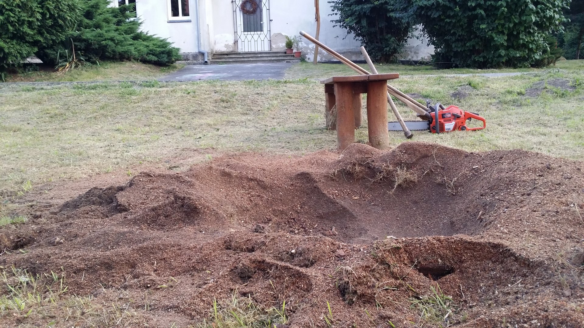 Pařezožrout foto 3