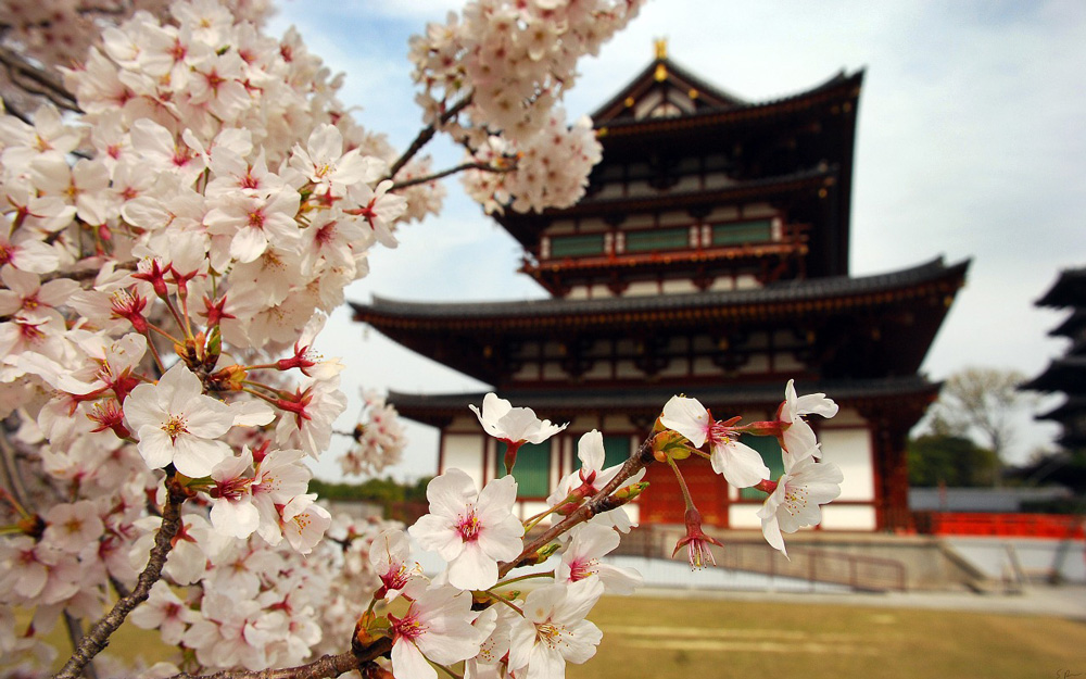Go2 Japonsko foto 2