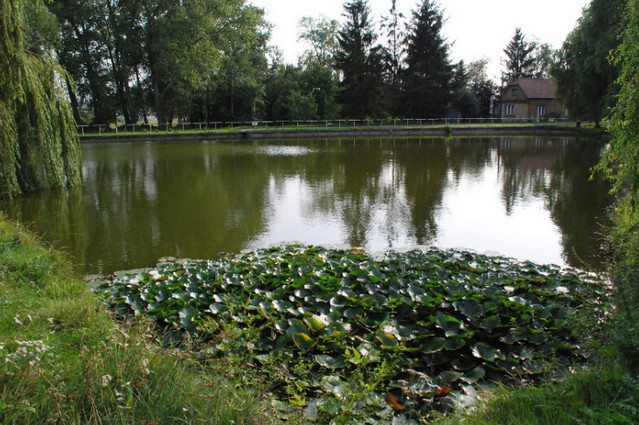 Přezletice - obecní úřad foto 3