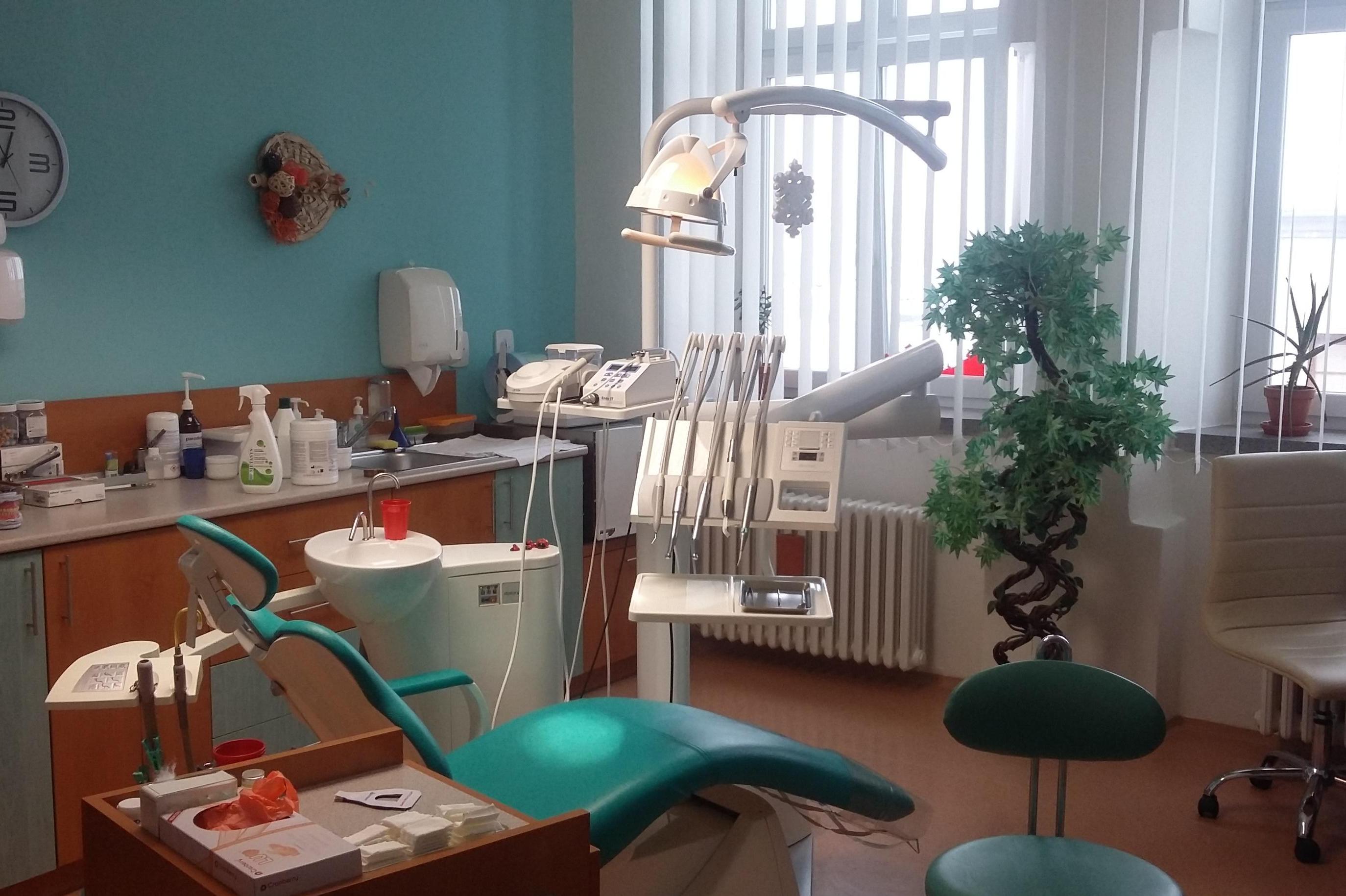 Dentální hygienistka Pavla Řoutilová, Dis. foto 1
