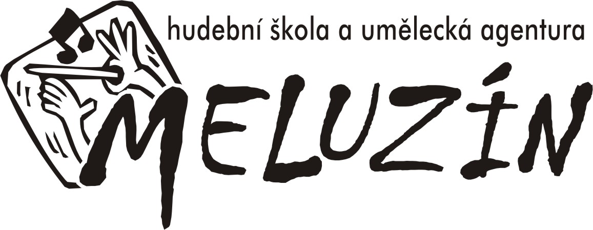 Radek Meluzín, diplomovaný umělec foto 2