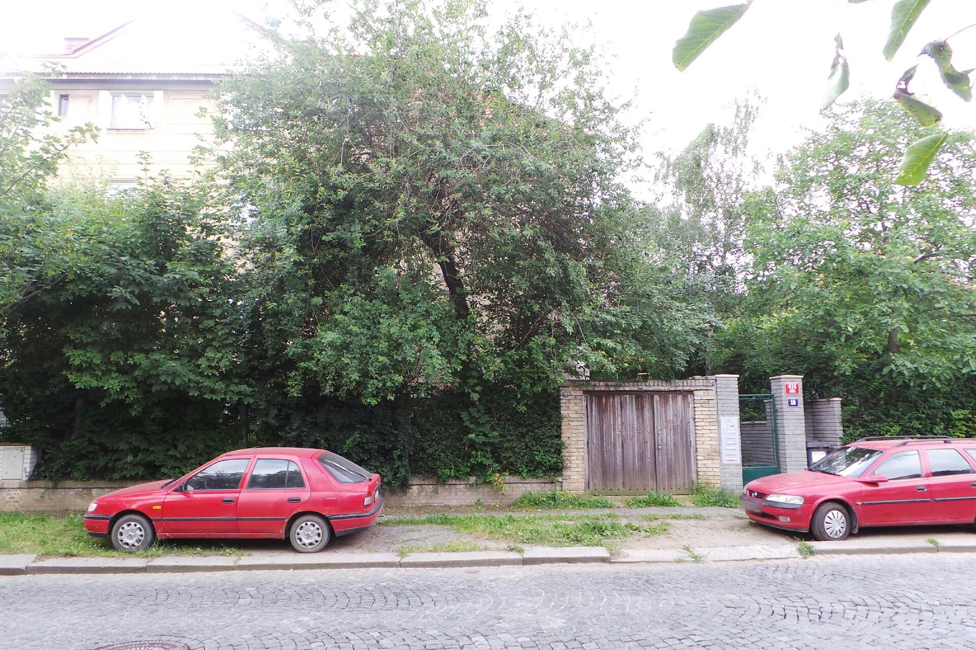 Human consulting Iva Buchtelová