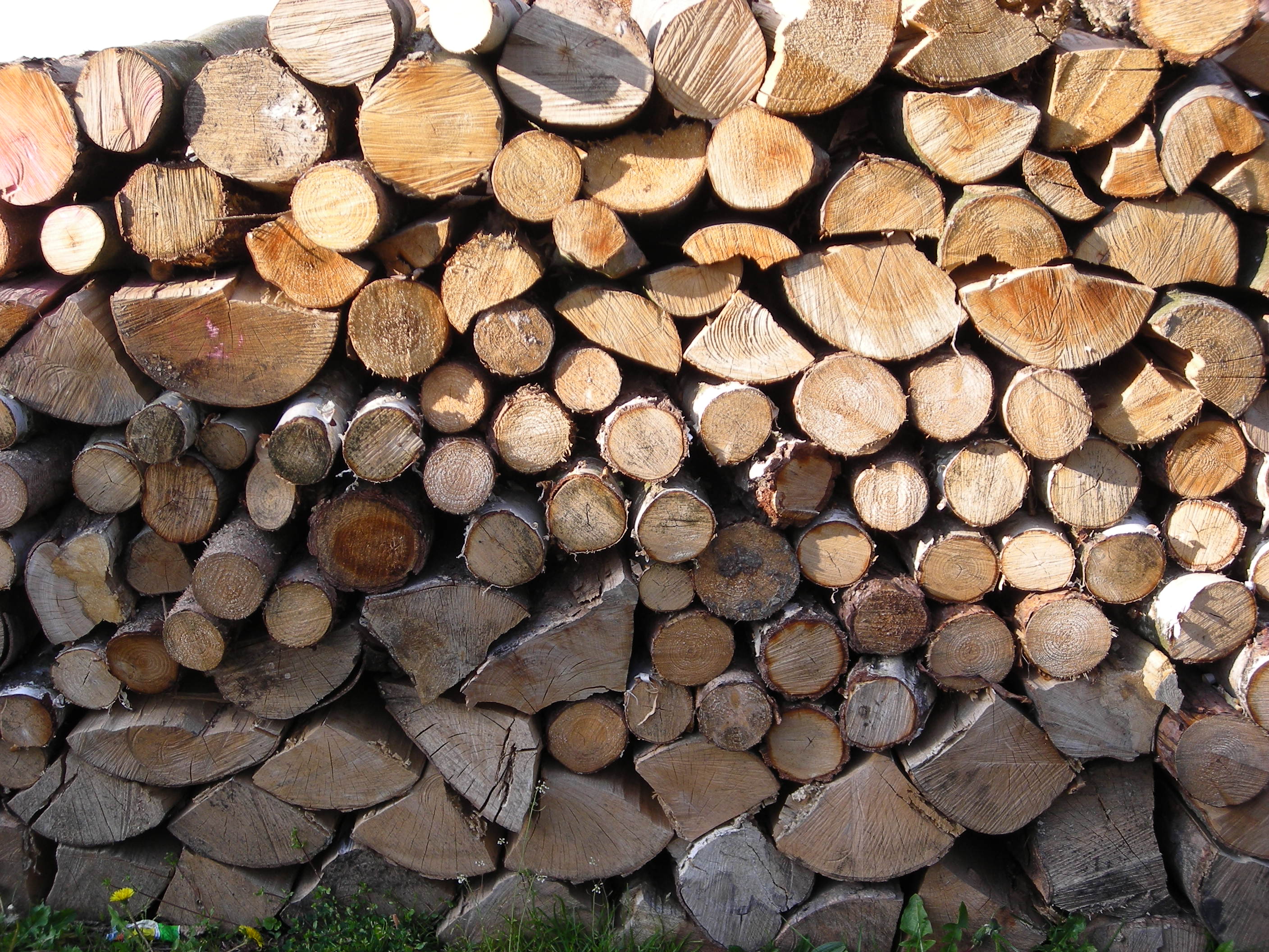 Jakub Konopáč - palivové dřevo foto 2