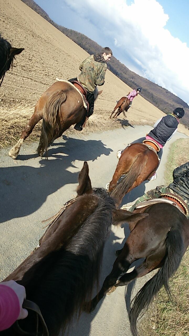 Jindřichovský dvůr foto 2