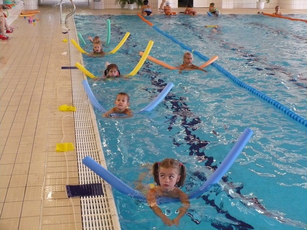 Plavecký klub ŠIPKA, s.r.o. foto 4