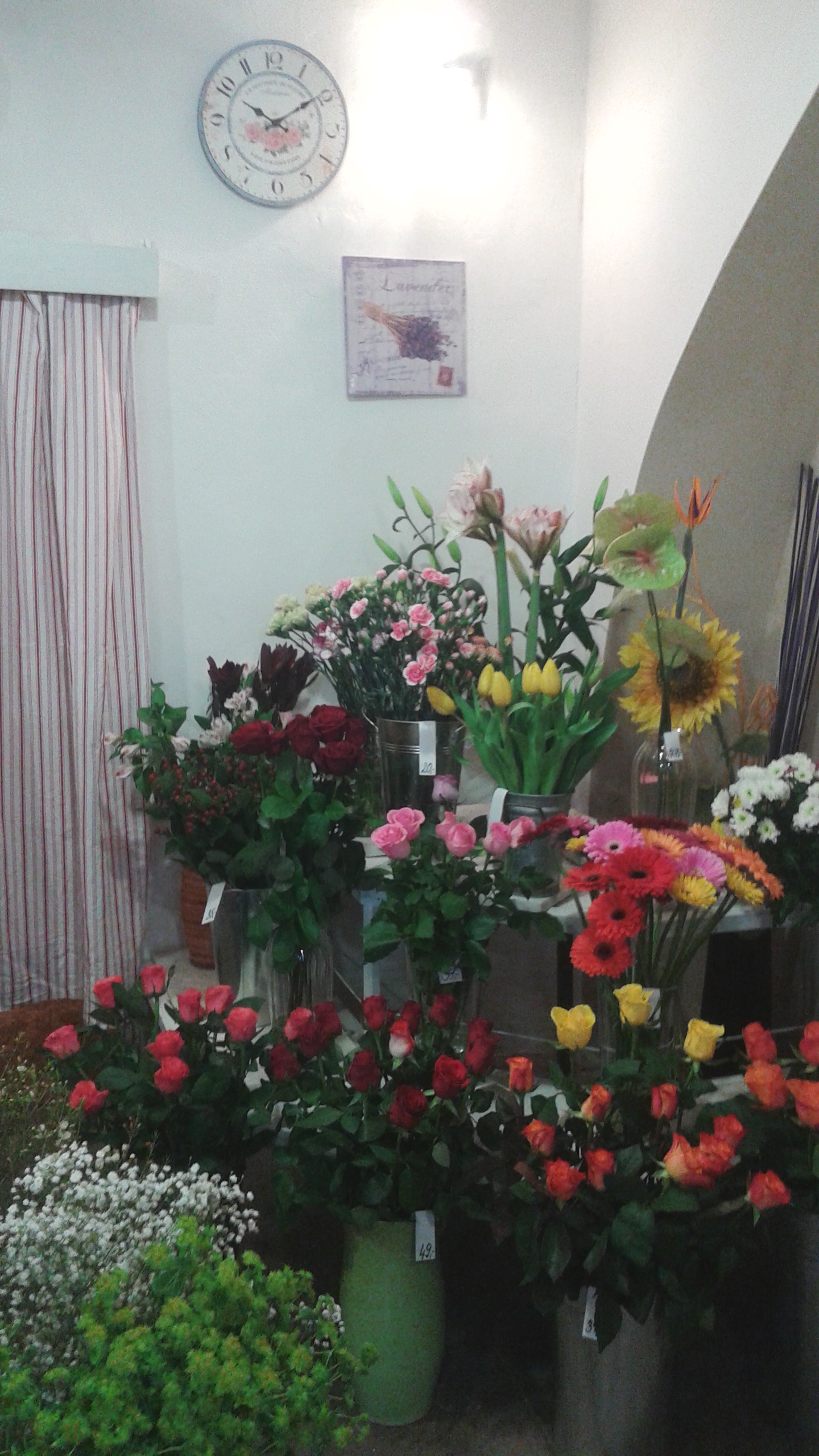 Květinový ateliér Malvína foto 2