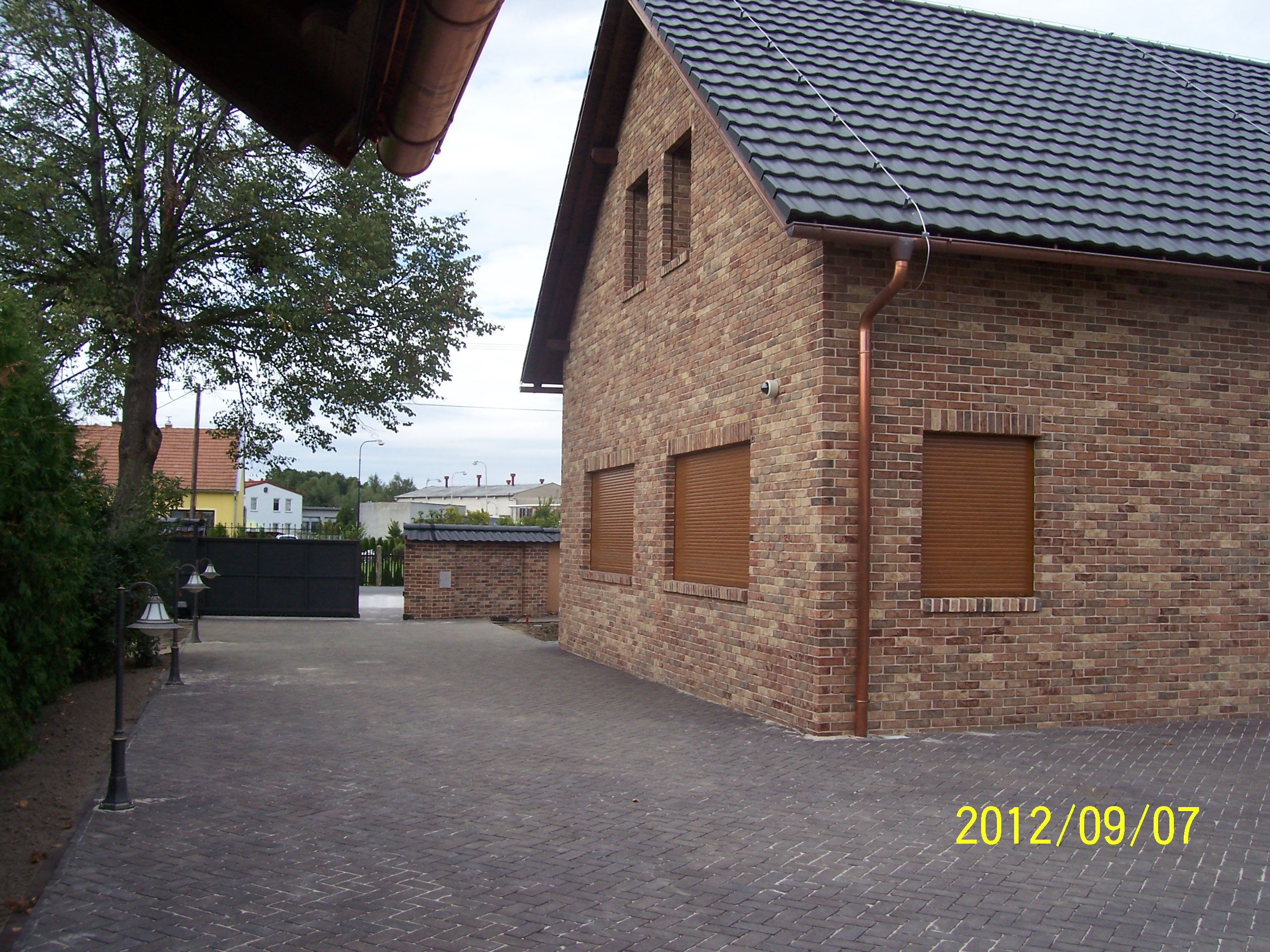 Karpe foto 2