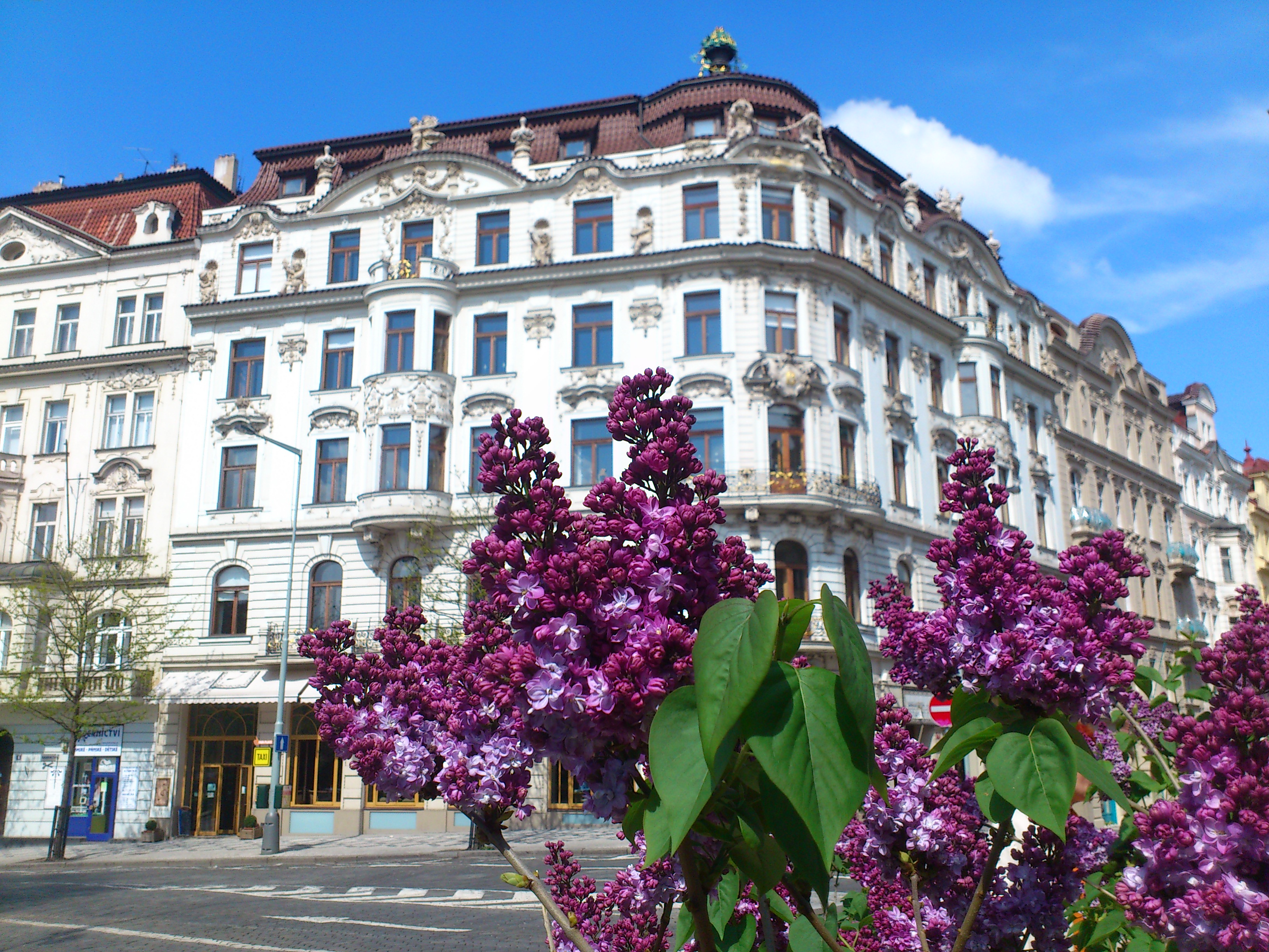 Projekty na Prodej, s.r.o. foto 2