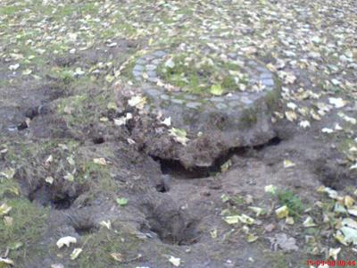 Deratizace Sochor foto 3