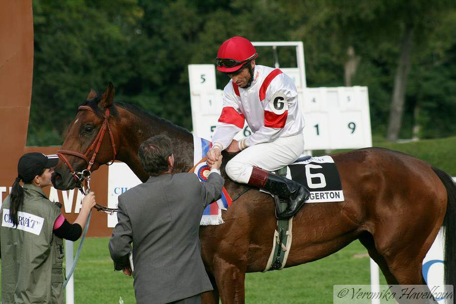 Farma koní Piruch foto 3