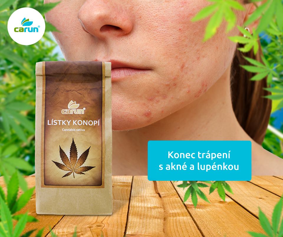 Lecivekonopi-sabi.cz foto 3