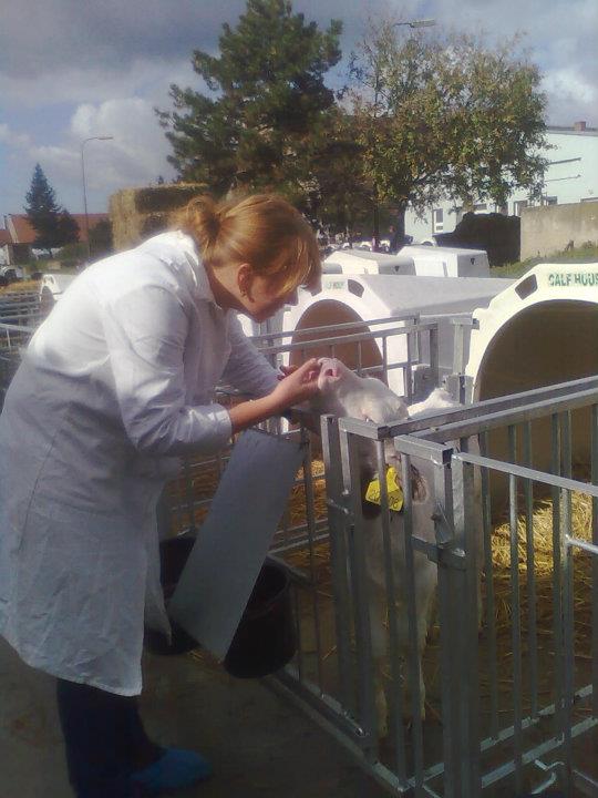 Veterinární lékař - MVDr. Lenka Sedláková foto 3