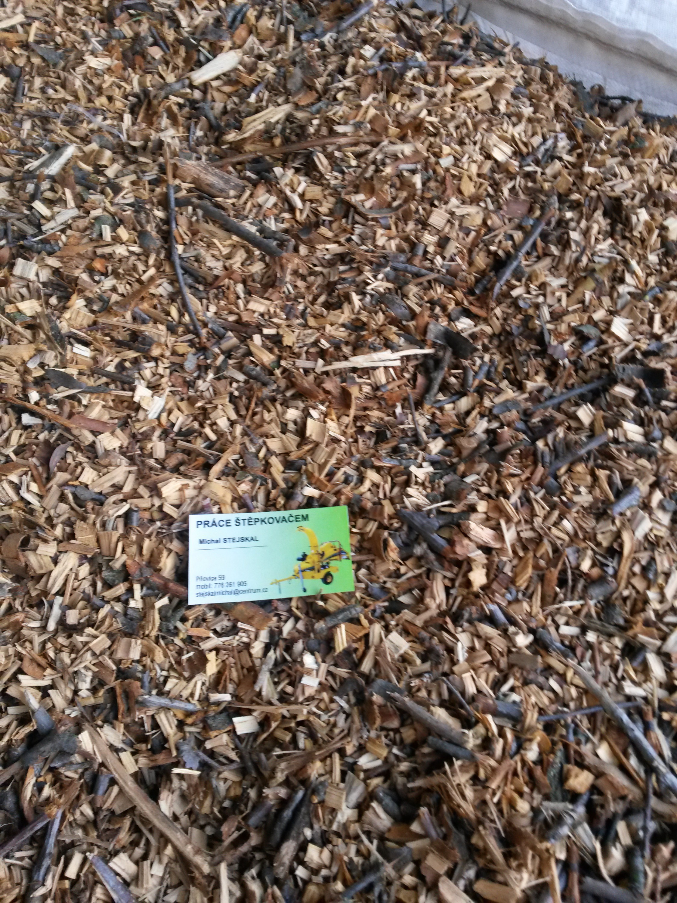 Michal Stejskal foto 4