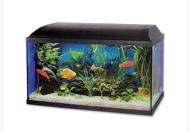 AKVA-TERA.CZ (SK) foto 4
