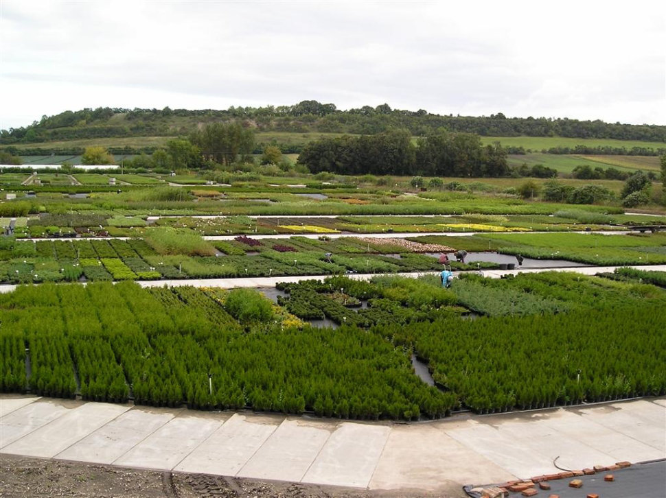 Školky Montano - velkoobchod foto 2