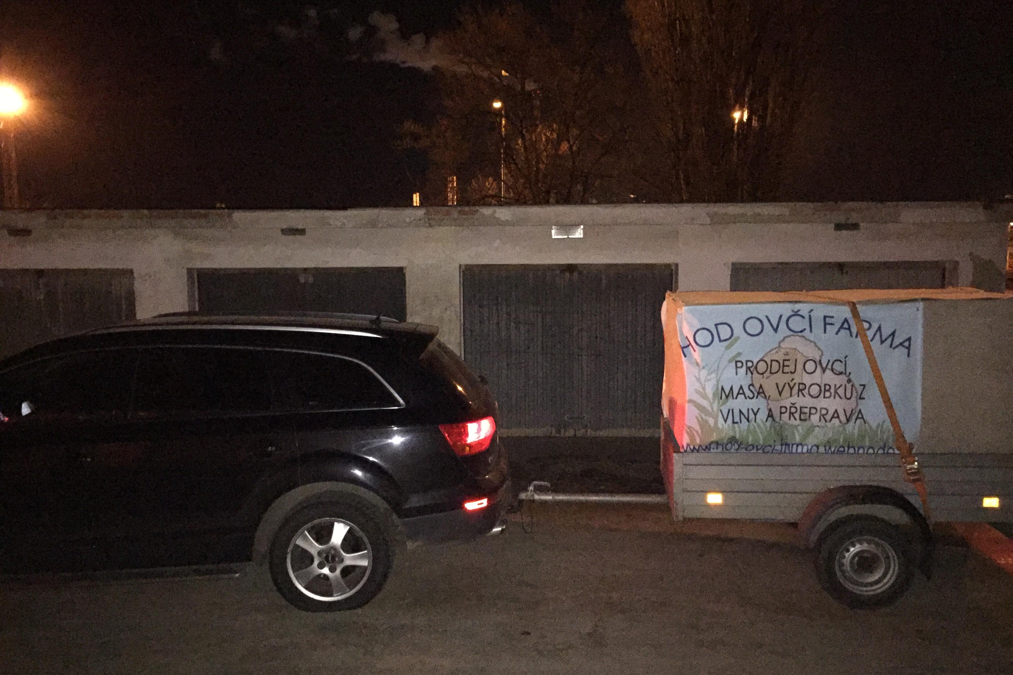 Přeprava zvířat - Pavel Hodina