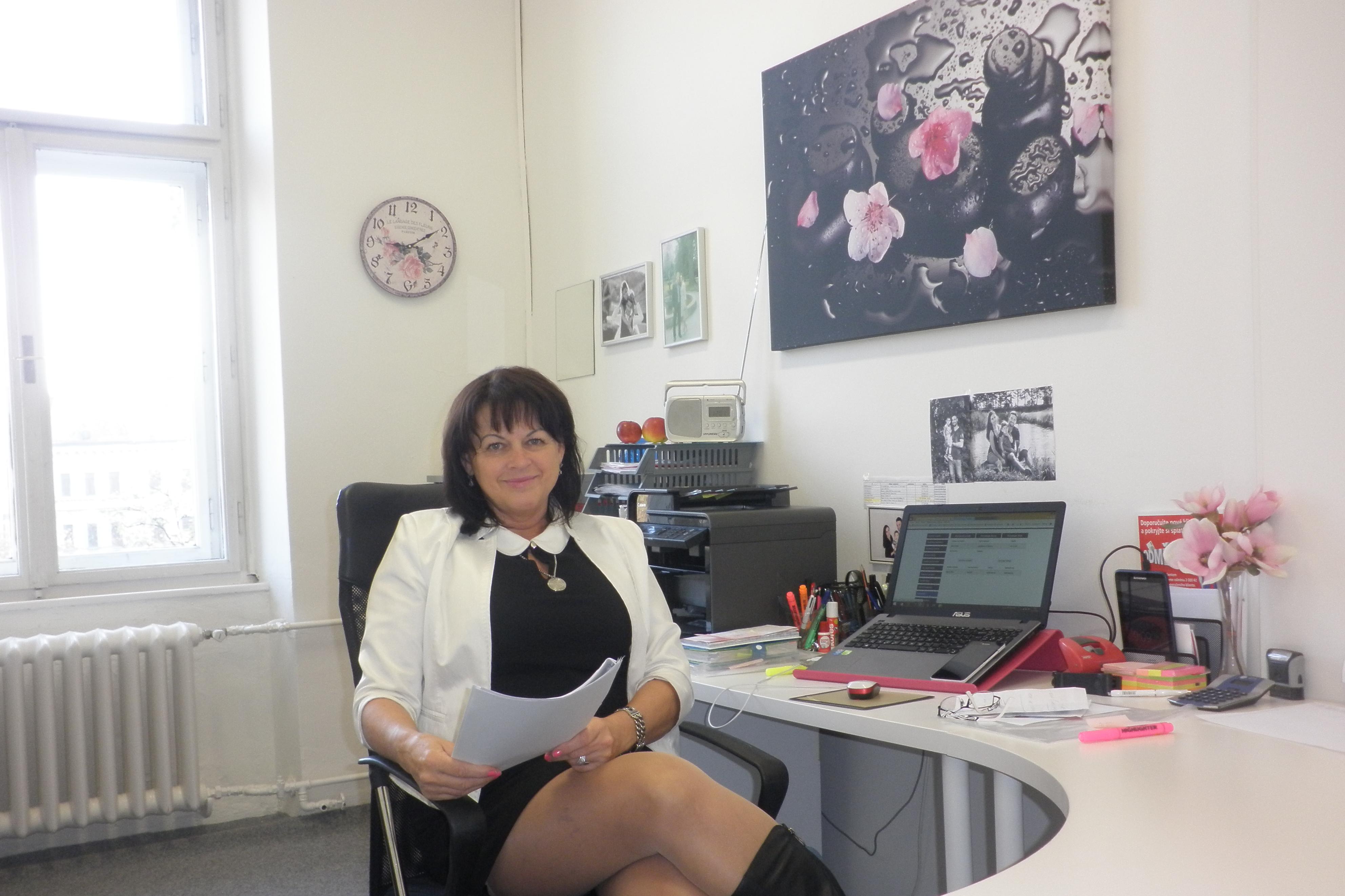 Sadílková - řešení finančních krizí