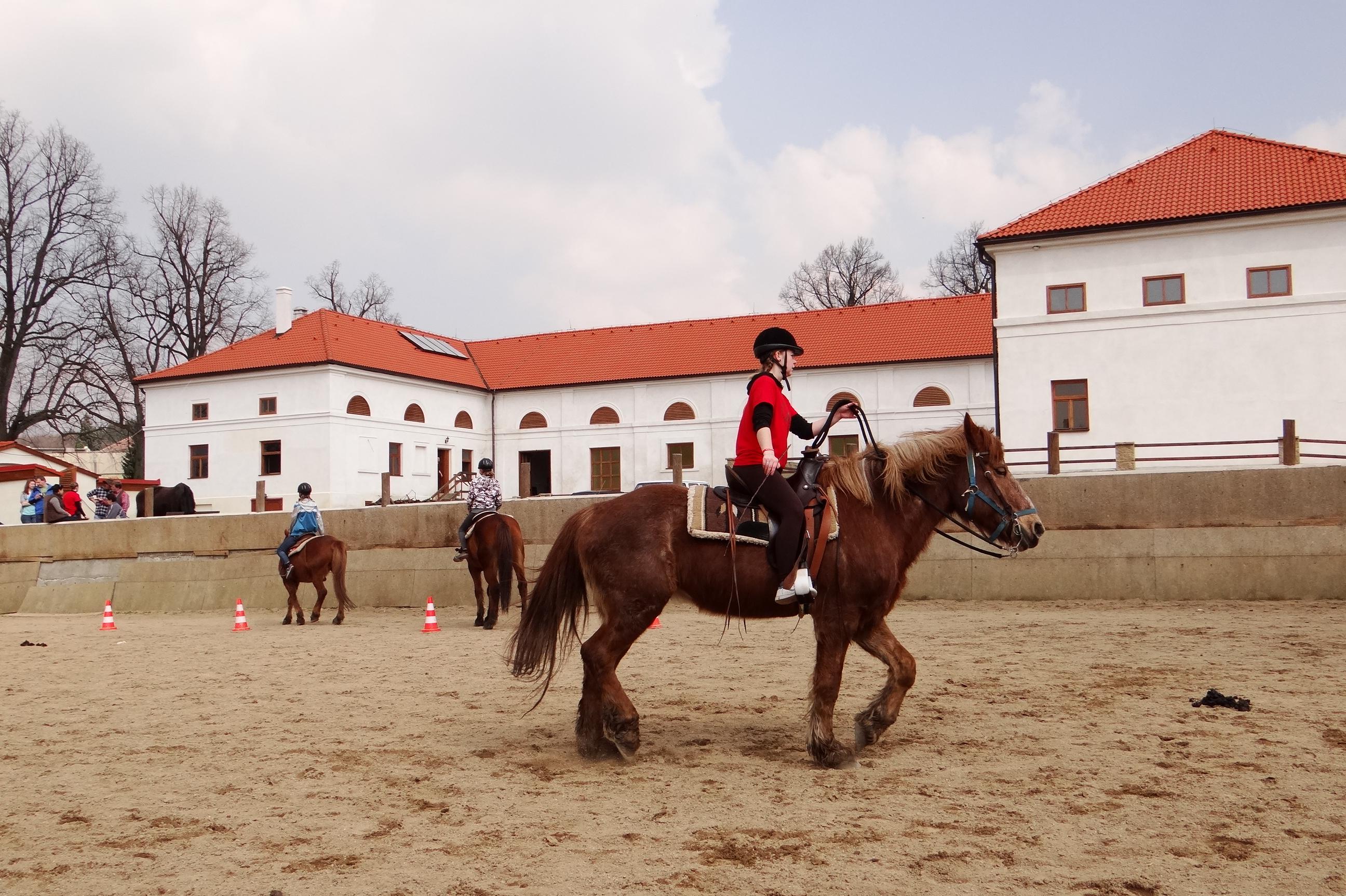 Zámecký statek z.s.