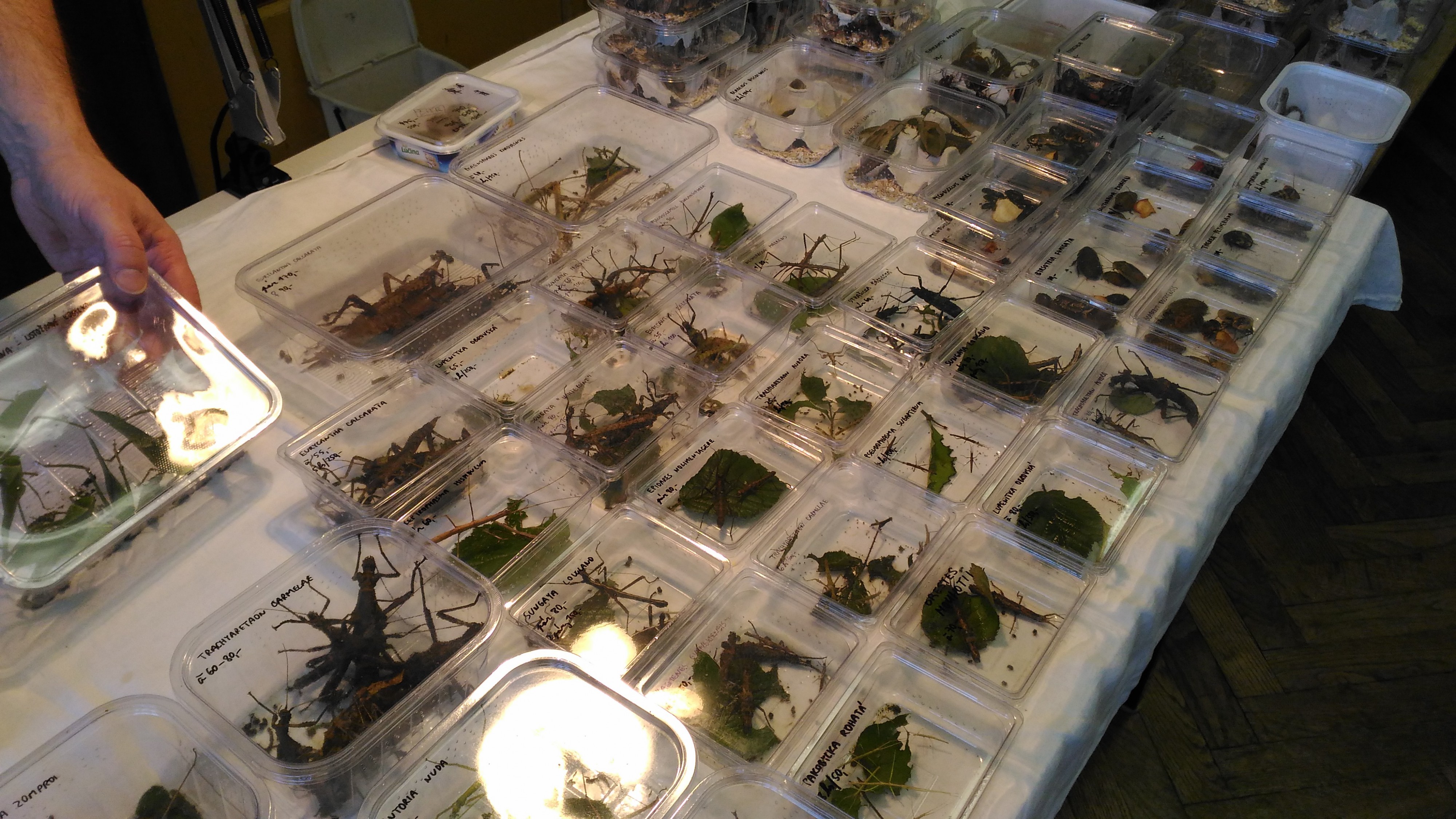 Faunatrhy Sobotka foto 4