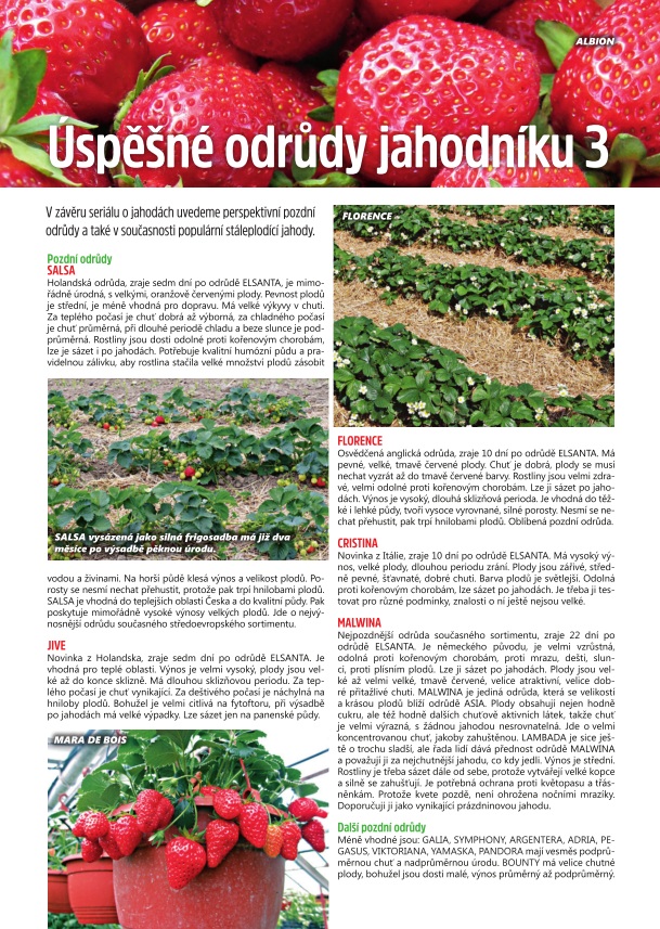 Časopis Zahrádkář foto 3