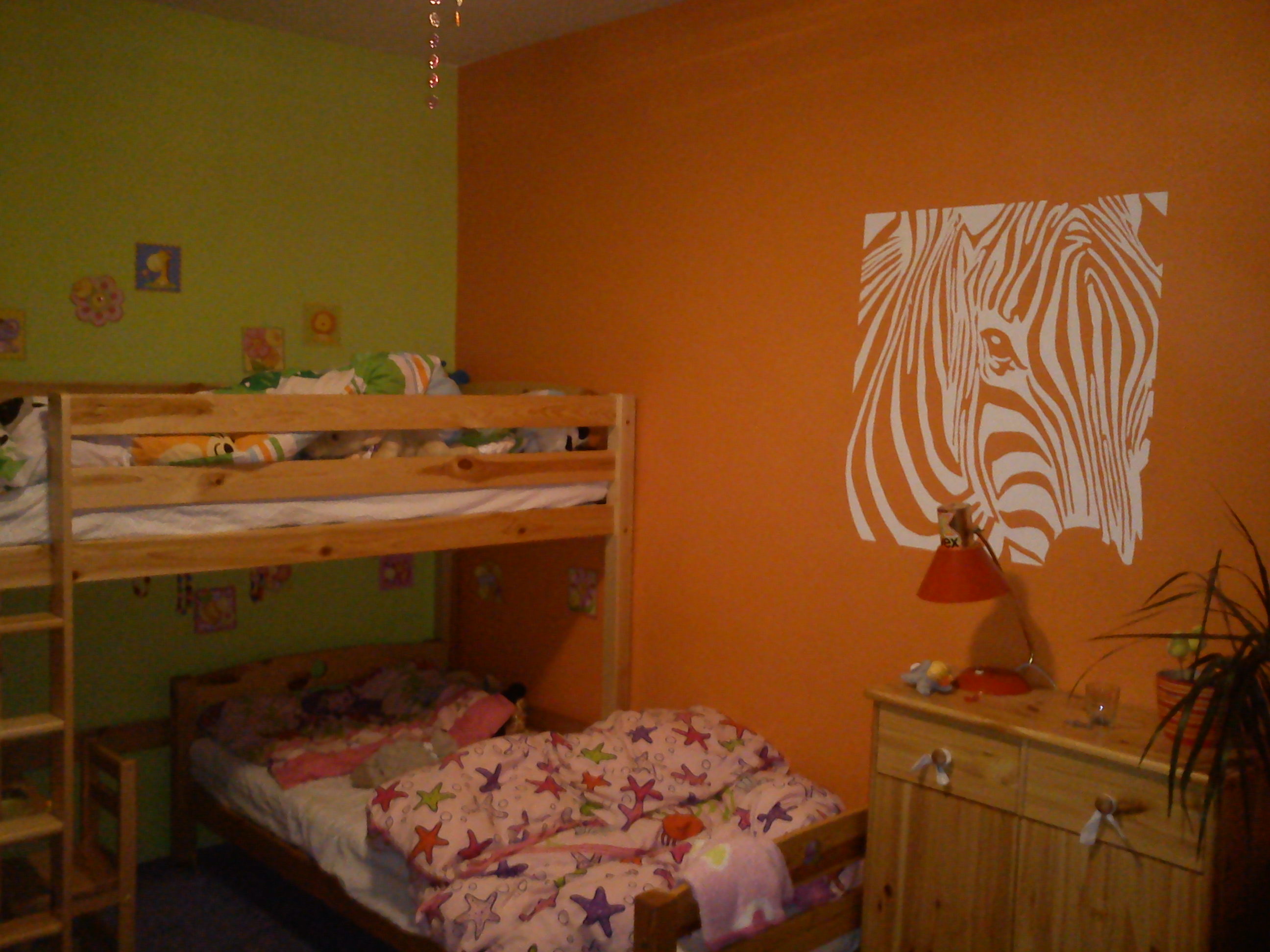 David Růžička foto 2