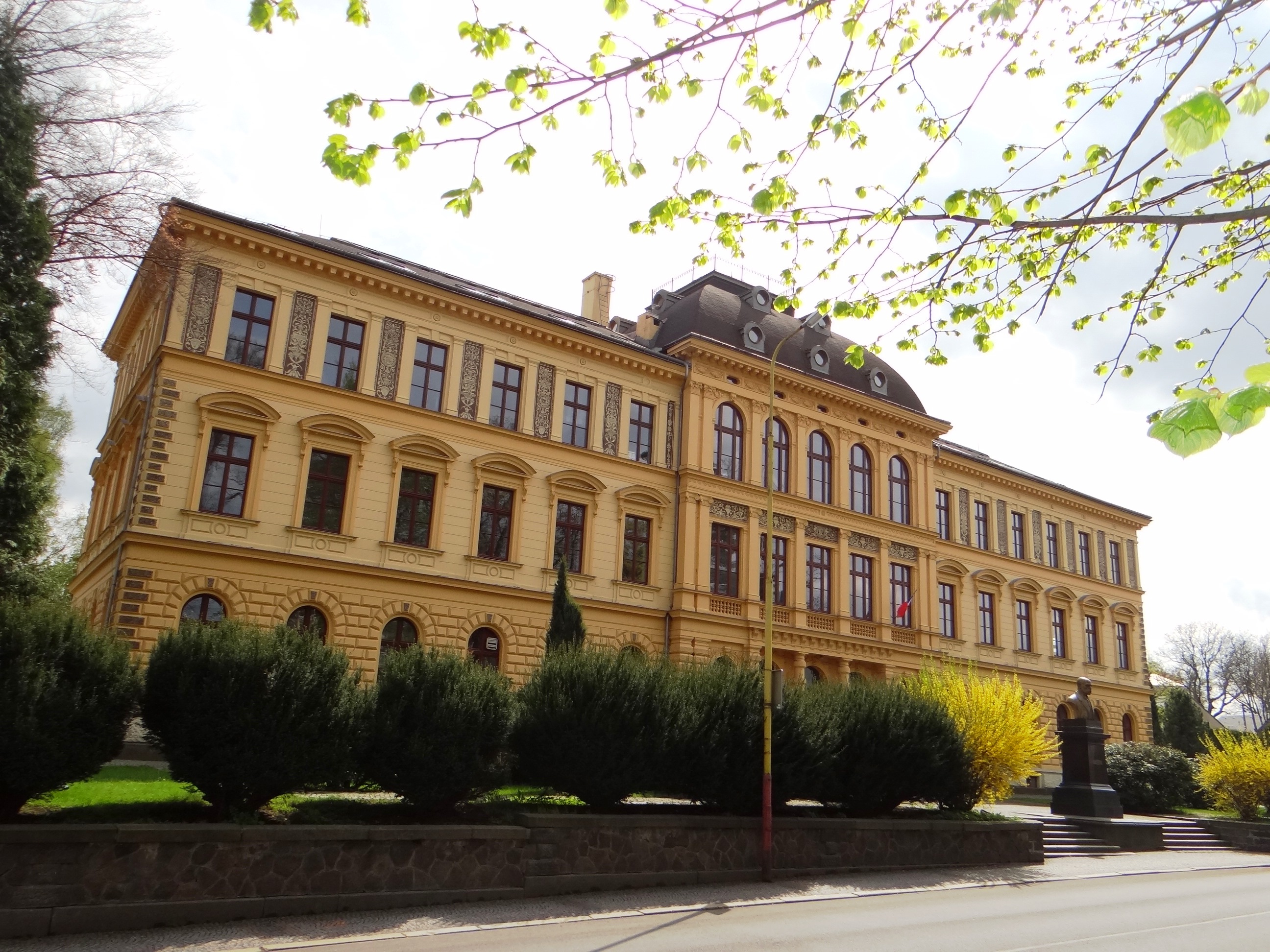 Střední lesnická škola a Střední odborná škola, Šluknov - Školní knihovna foto 2