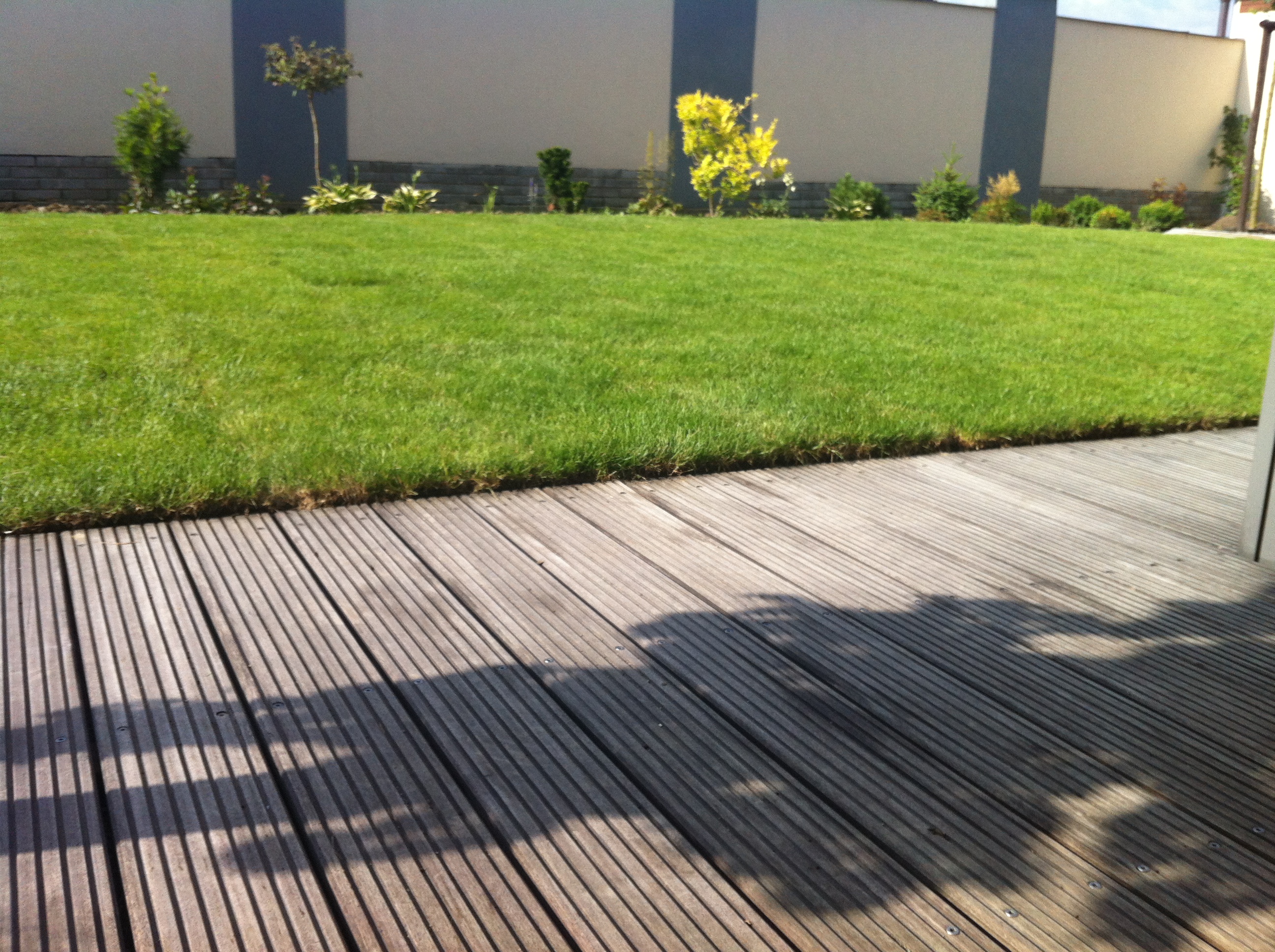 ČESKÝ TRÁVNÍK, s.r.o. foto 6