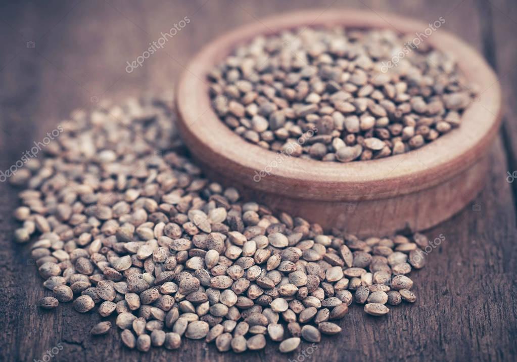 Olejový mlýn Petráveč foto 4