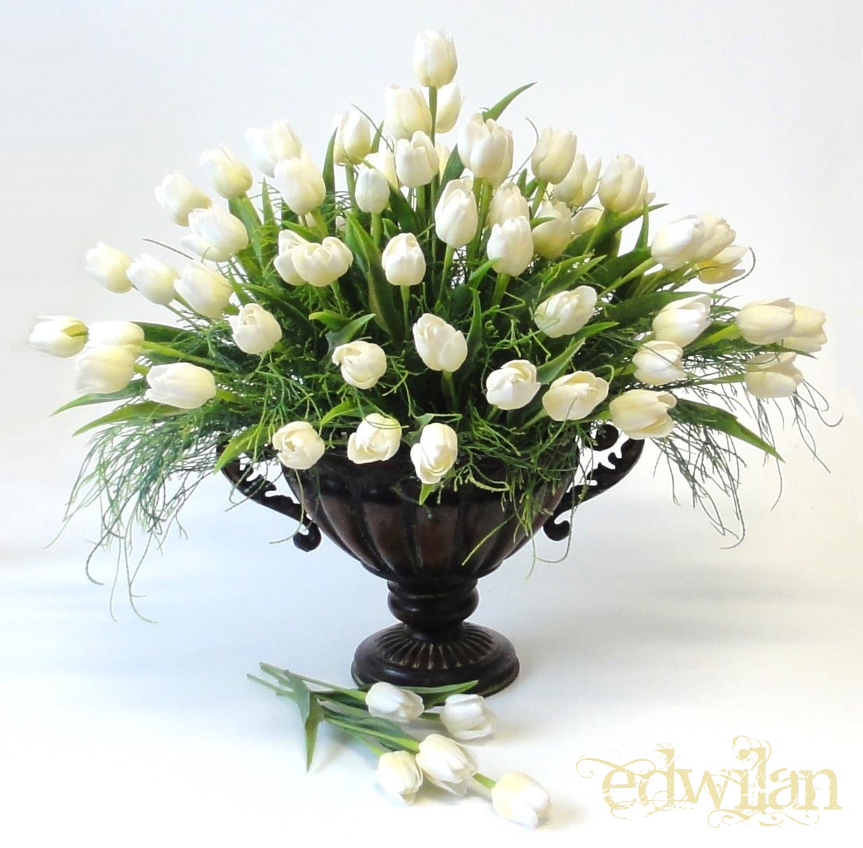 Edwilan.com foto 2