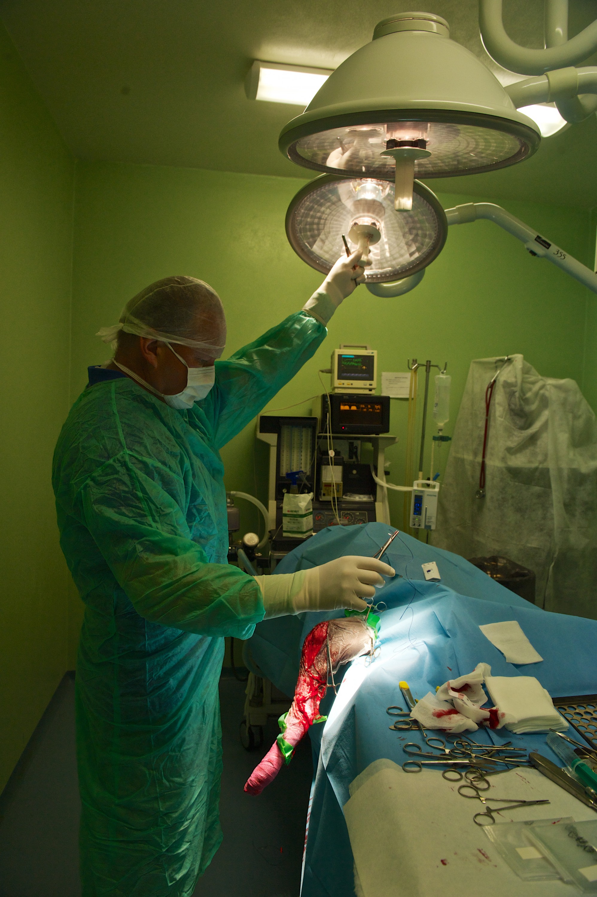 Veterinární klinika IVET foto 3