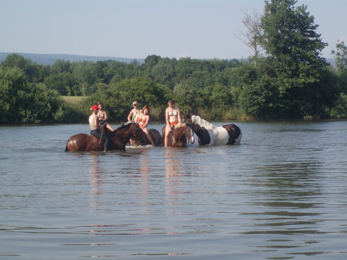 Farma Sedlár foto 4