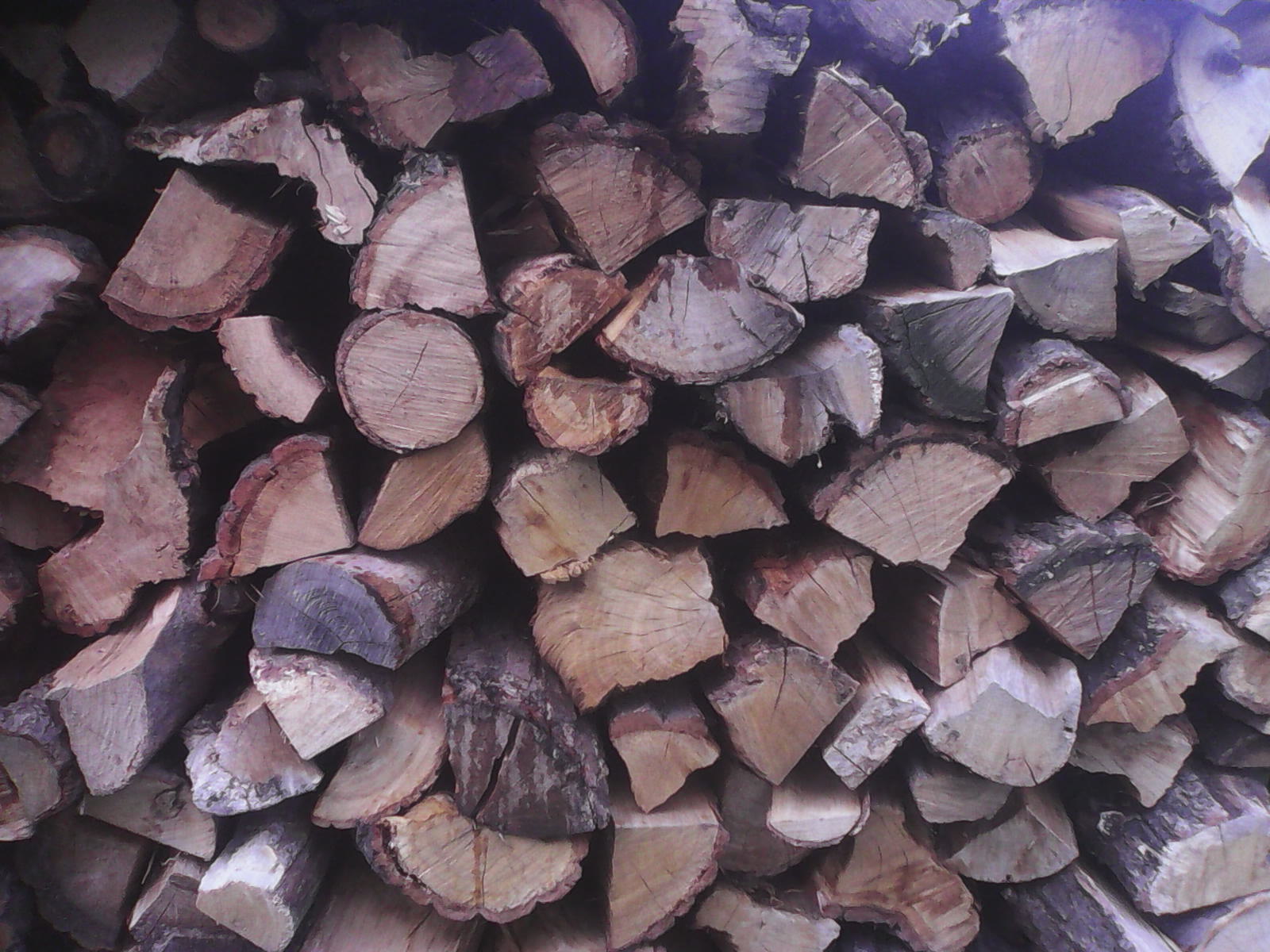 Palivové dřevo Hladík foto 4